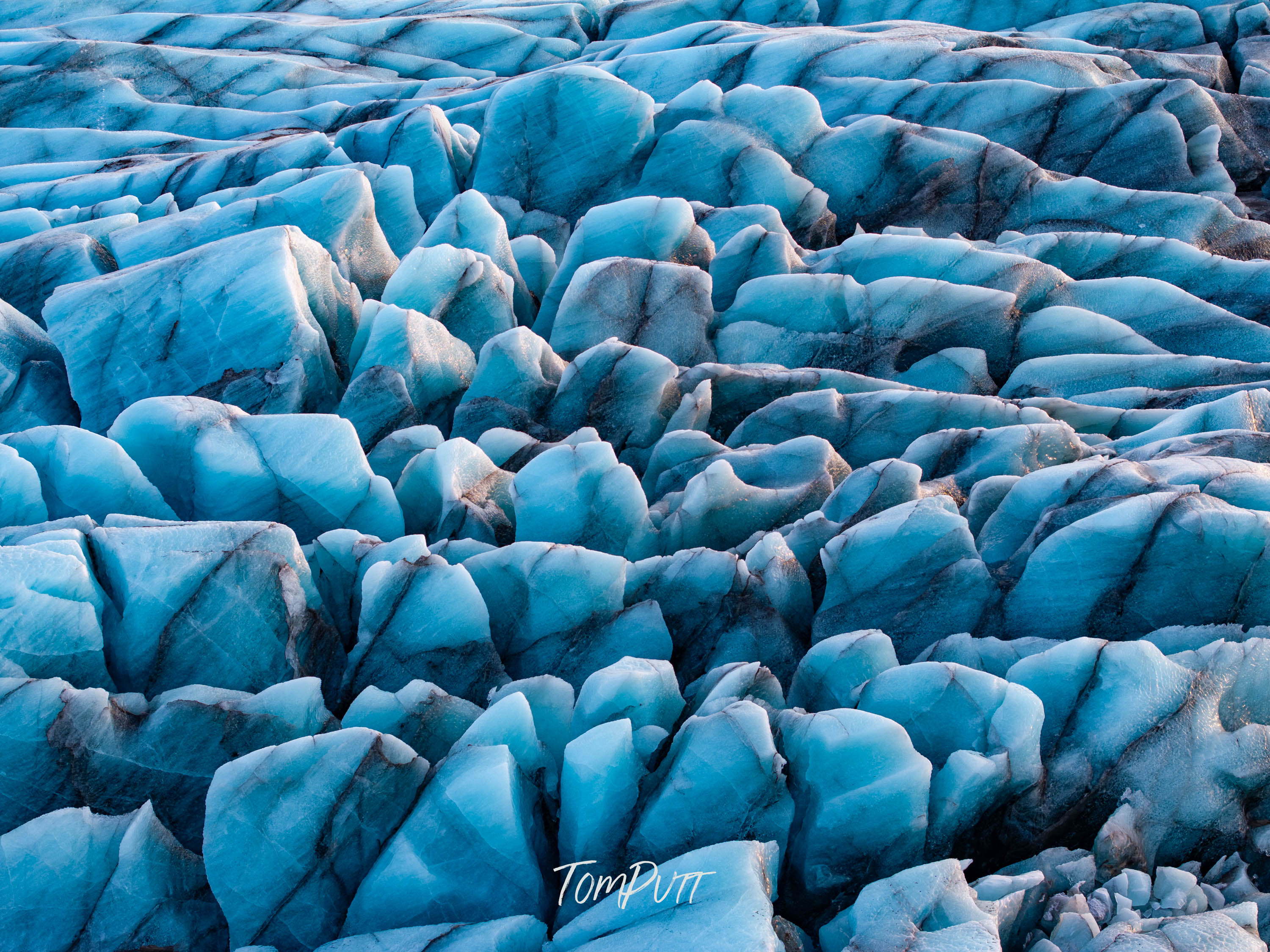 Marbled Blue, Iceland
