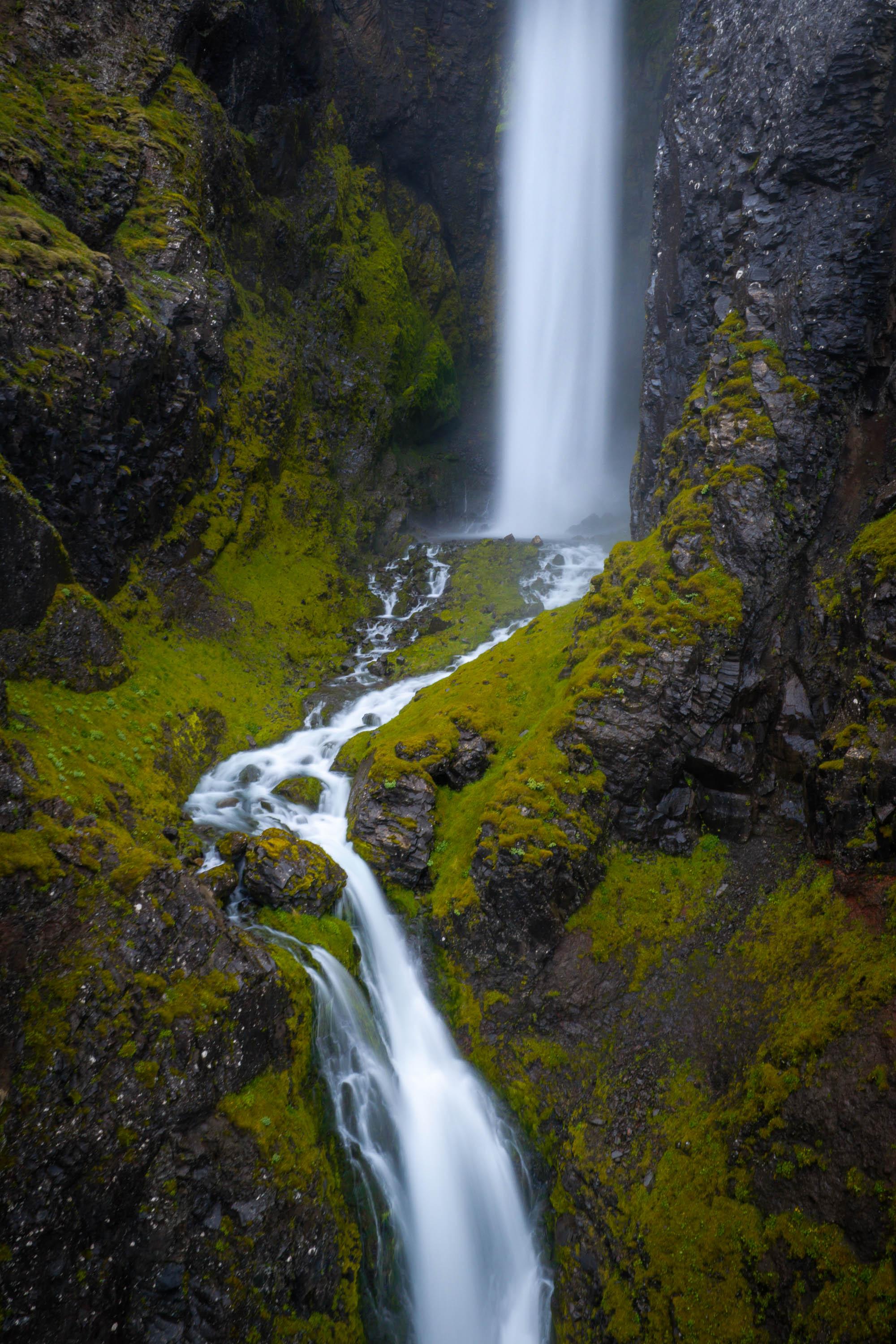 Moss and Mist