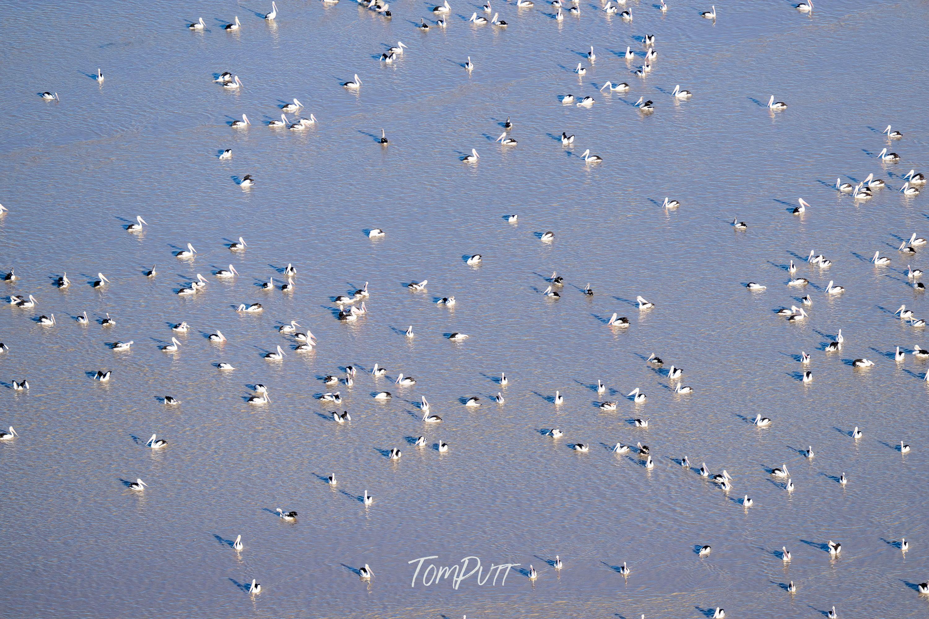 A Time of Rest, Lake Eyre, SA