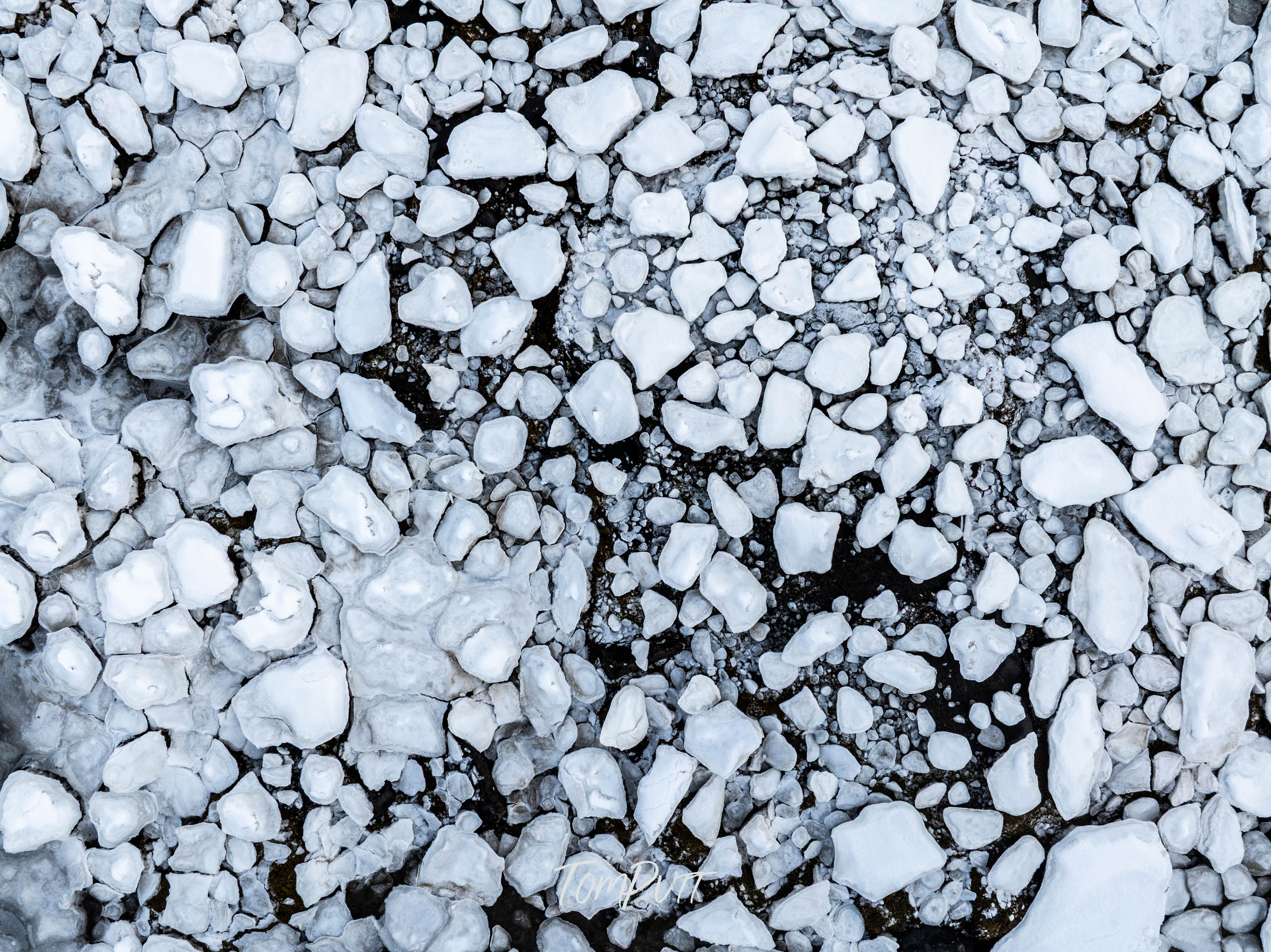 Arctic Mosaic, Lofoten