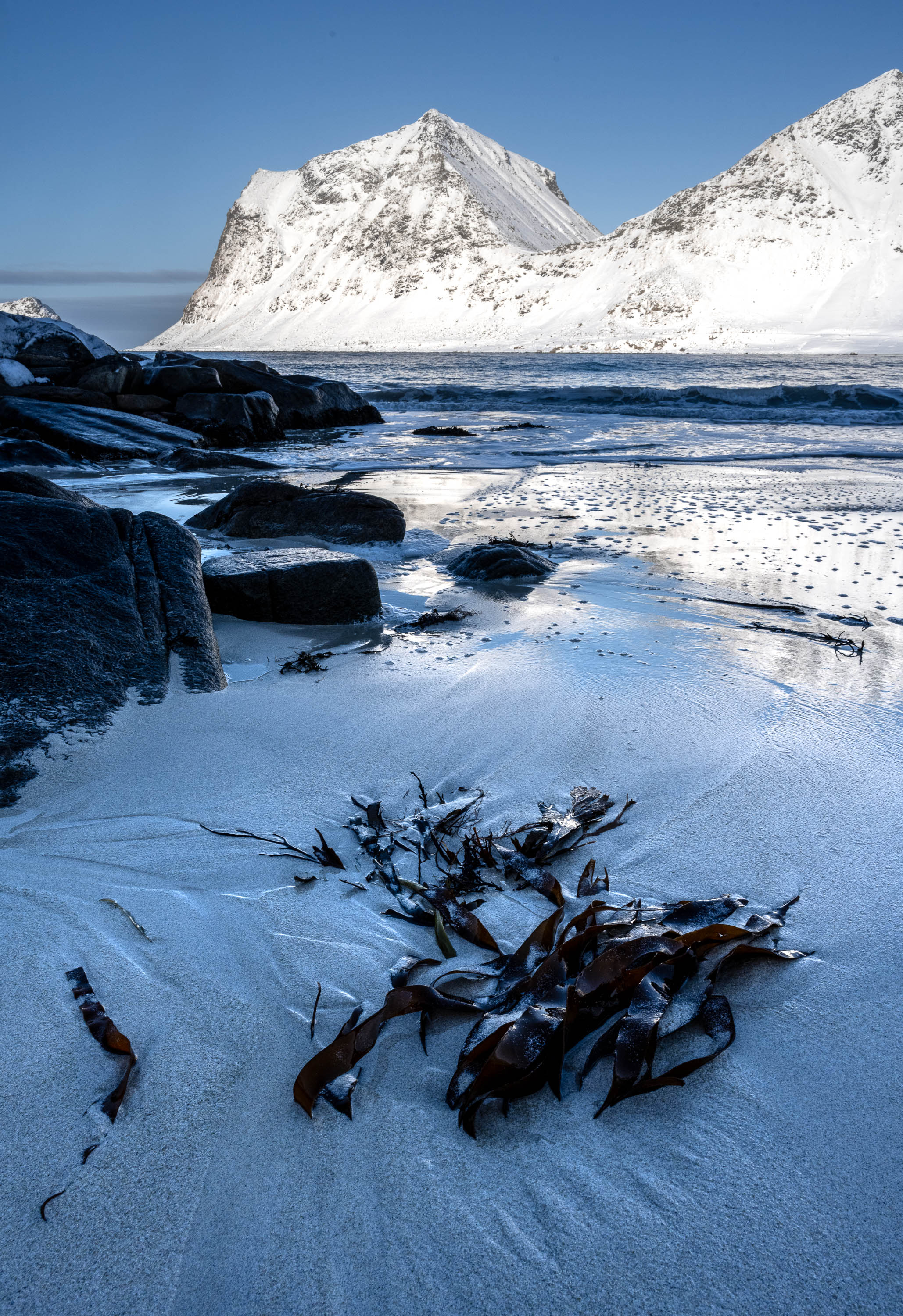 A Winters Beach Tale, Lofoten