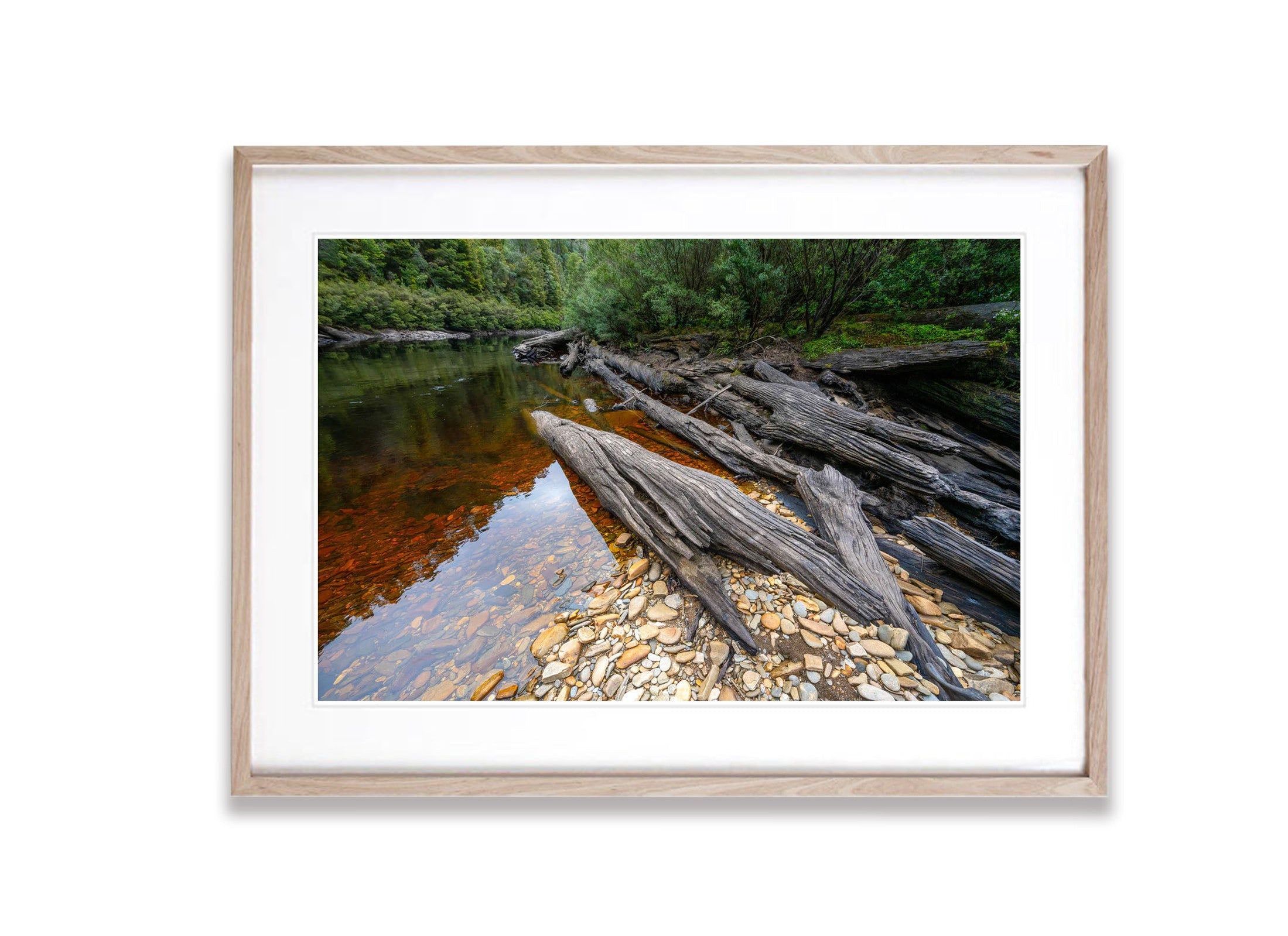 Logs on the The Franklin River No.5, Tasmania