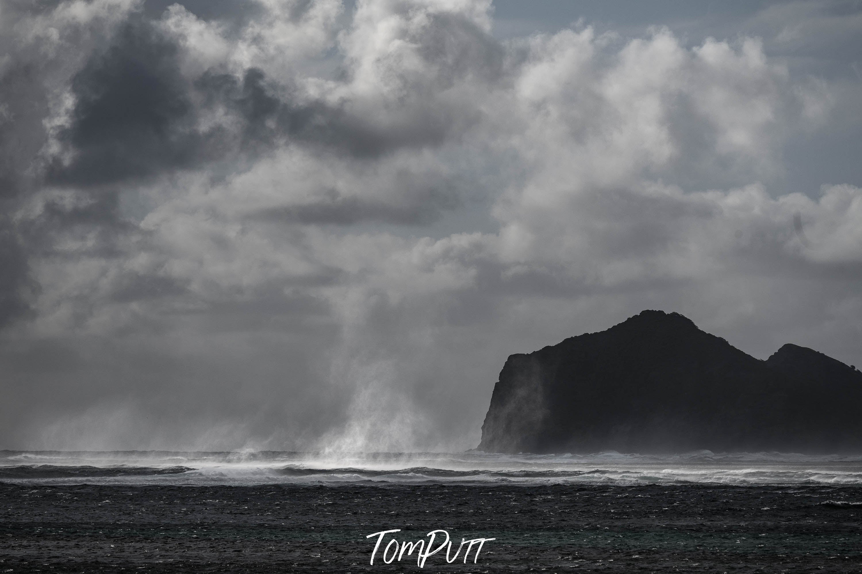 Windswept, Lord Howe Island