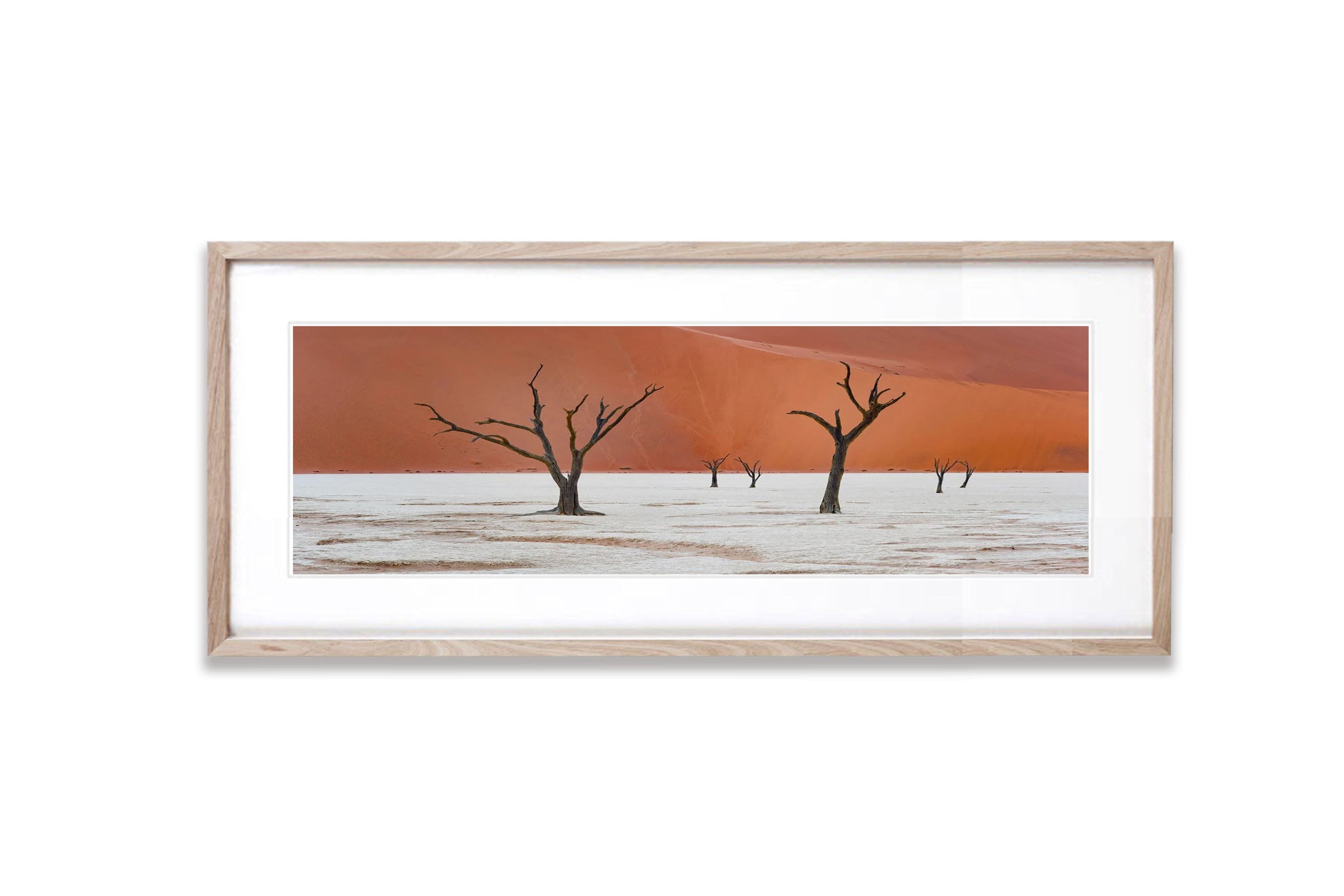 Deadvlei trees, Namibia, Africa