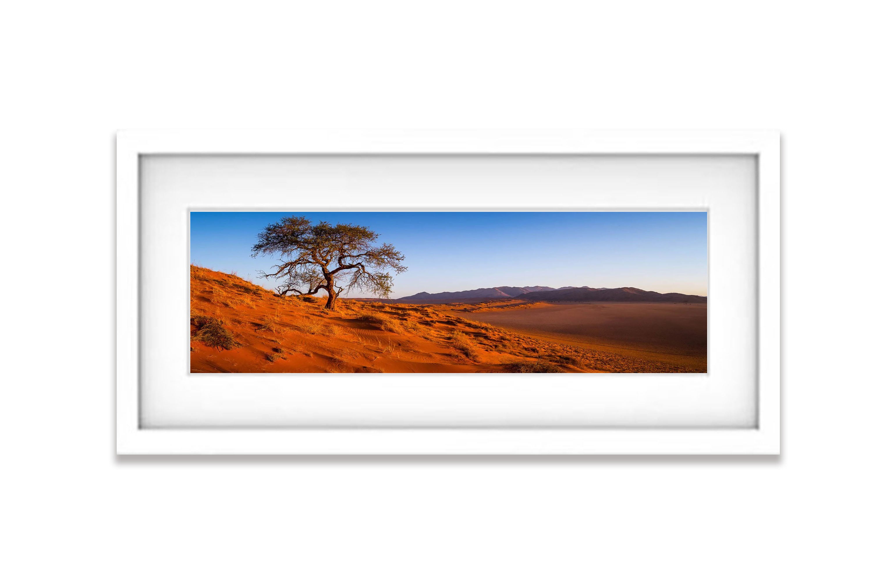 Desert Resilience, Namibia, Africa