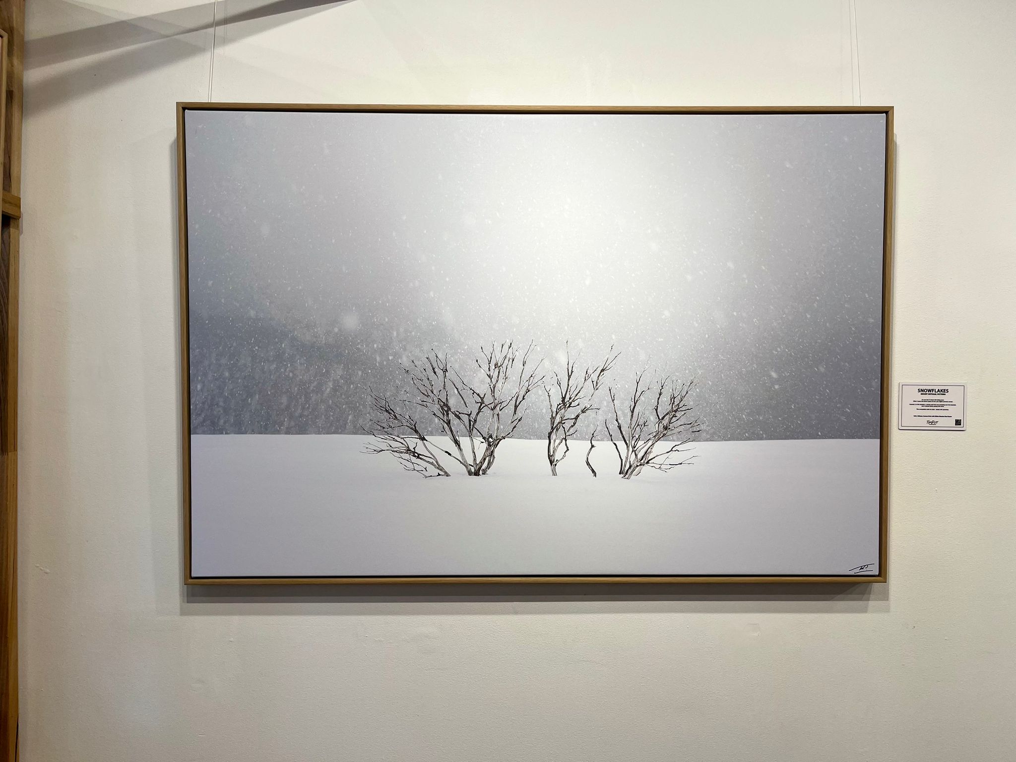 ARTWORK INSTOCK - Snowflakes, Mount Hotham, Victoria - 150 x 100cms Canvas Raw Oak Print