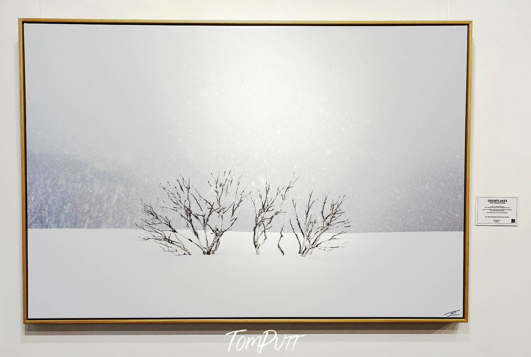 ARTWORK INSTOCK - 'Snowflakes, Mount Hotham, Victoria' - 150x100cms Canvas Framed Print Raw Oak