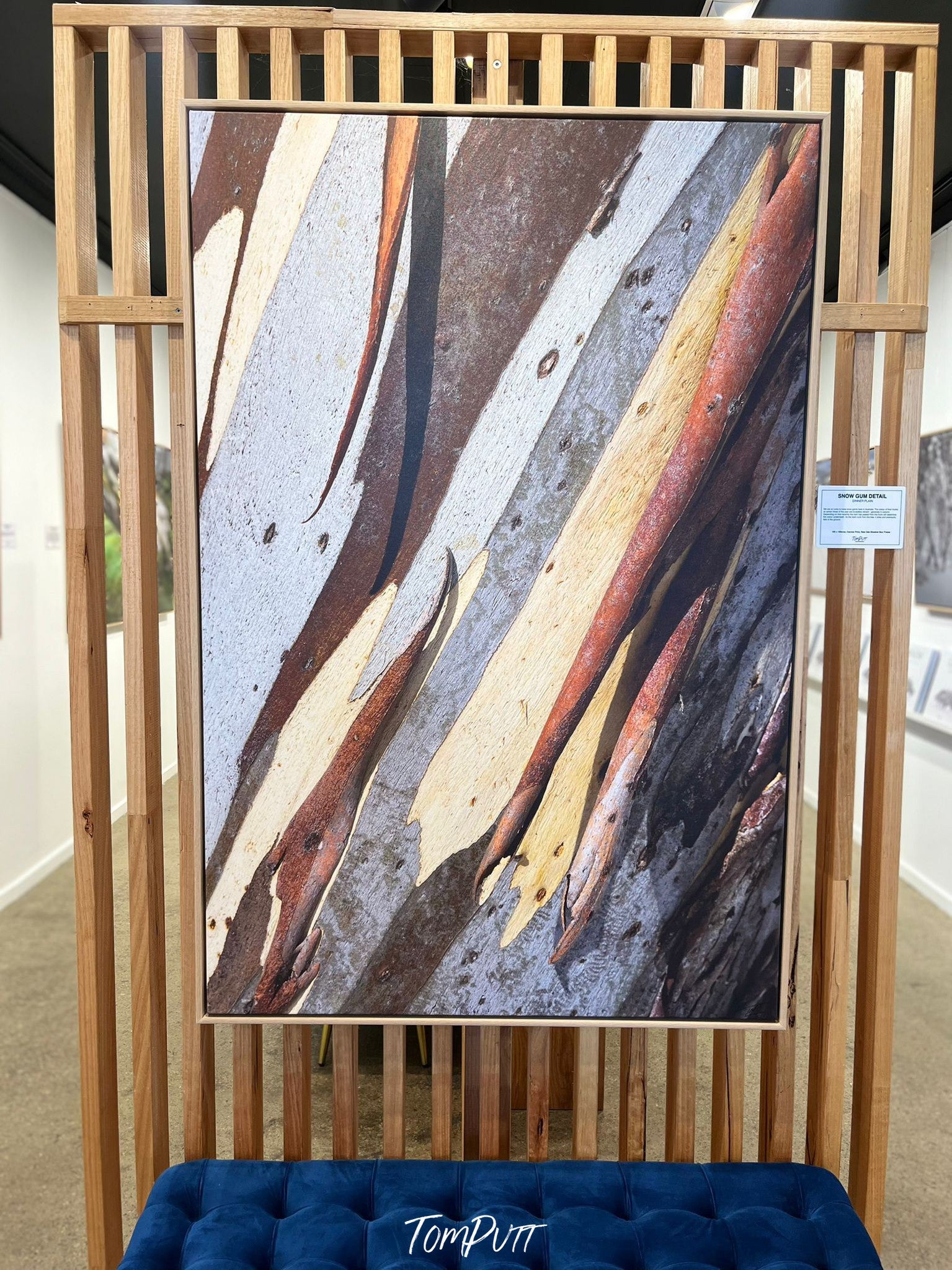 ARTWORK INSTOCK - 'Snow Gum Bark Detail' - 150x100cms Canvas Framed Print in Raw Oak