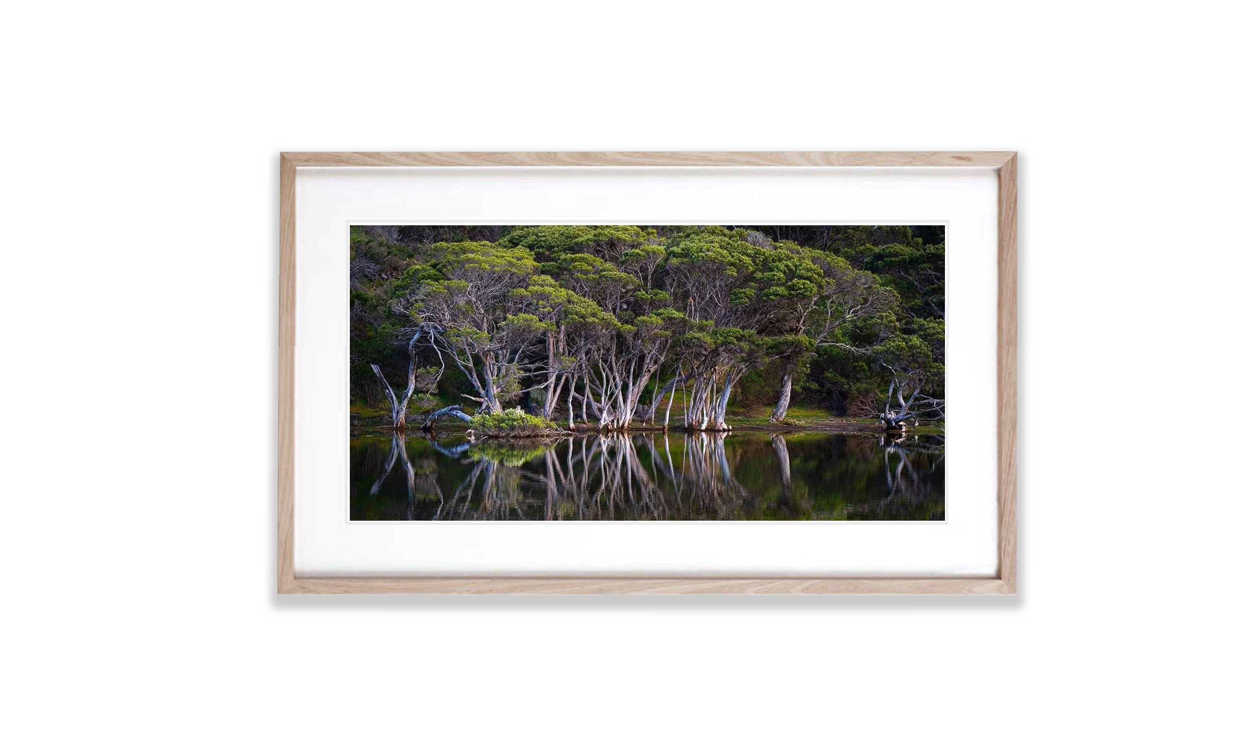 Paperbark Reflections, Kangaroo Island, South Australia