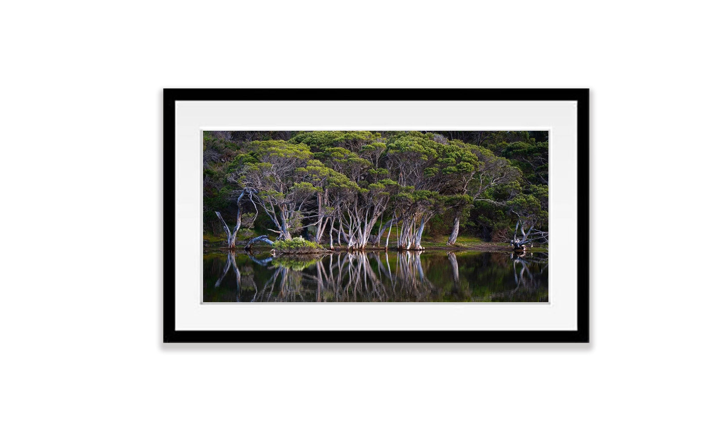Paperbark Reflections, Kangaroo Island, South Australia