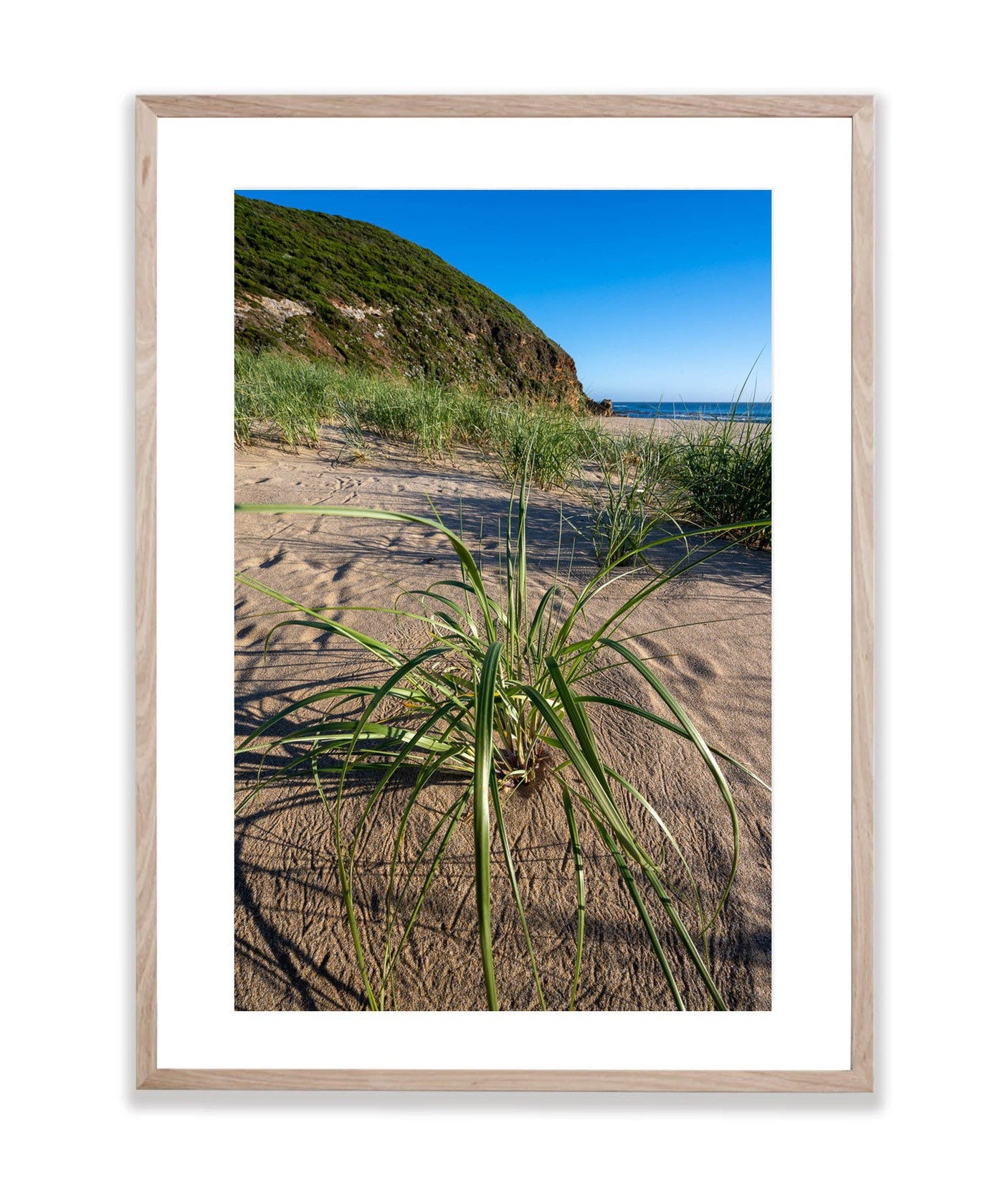 Aire River Grasses, Great Ocean Road