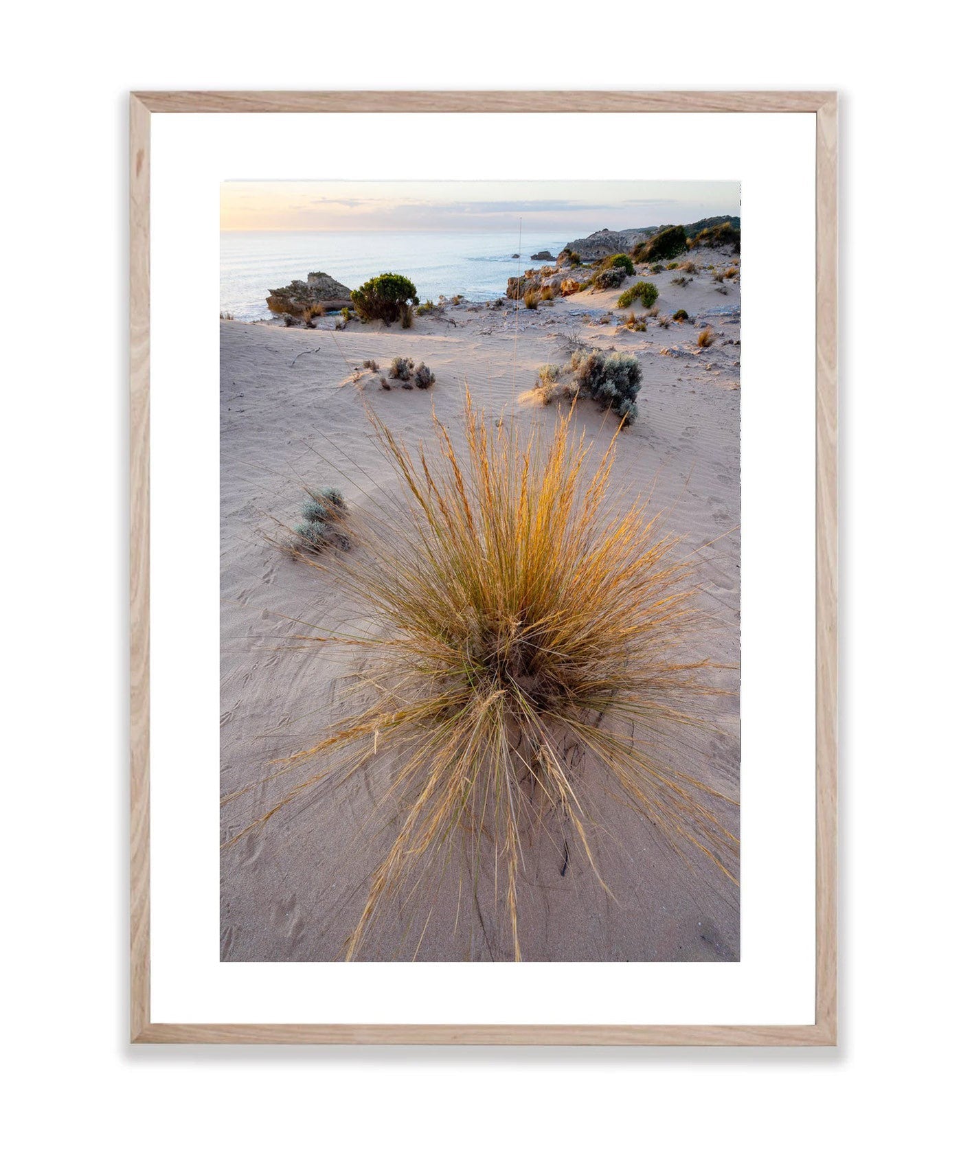 Coastal Burst, Sorrento