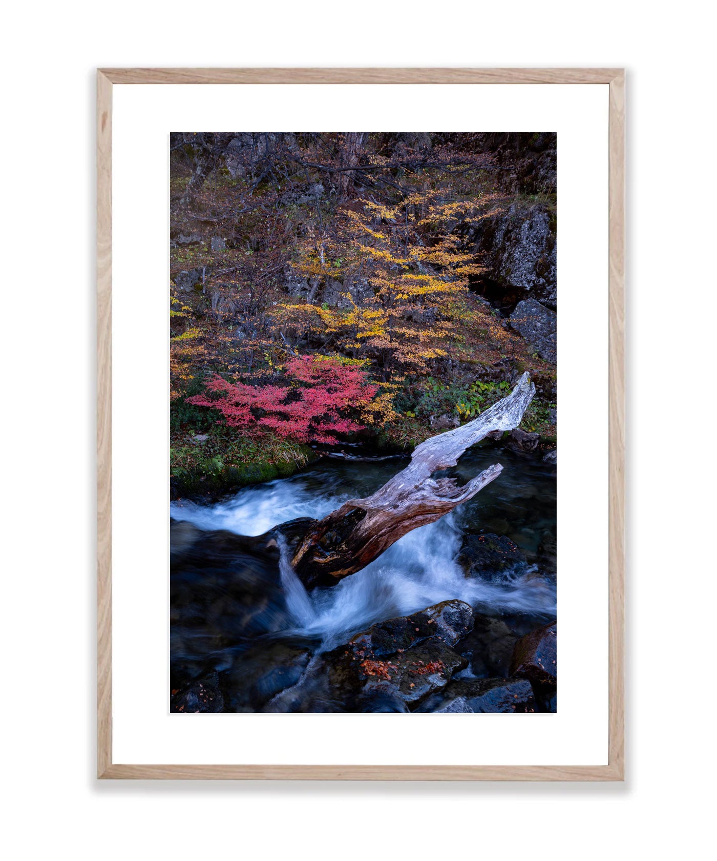 Mountain Stream Autumn, Patagonia