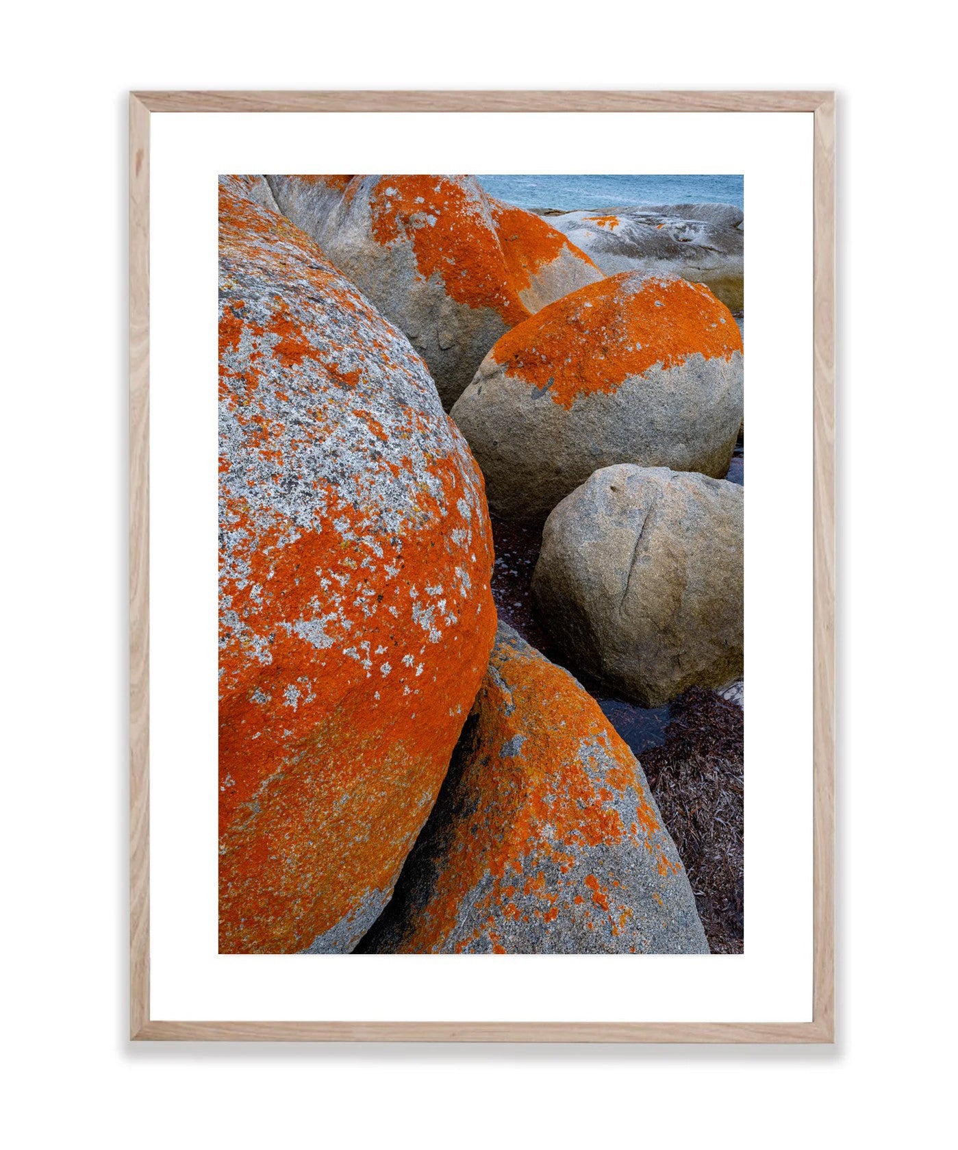 Red Lichen Rocks No.5, Flinders Island, Tasmania