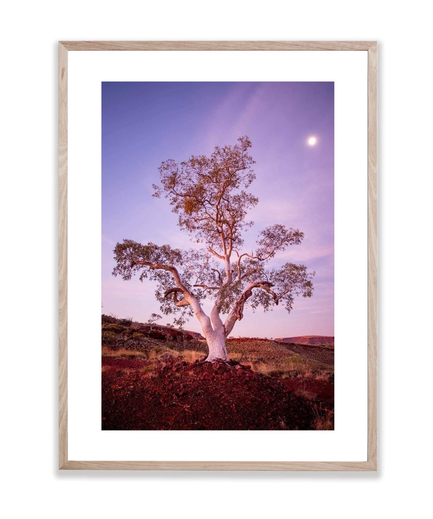 Gum Glow - Karijini, The Pilbara