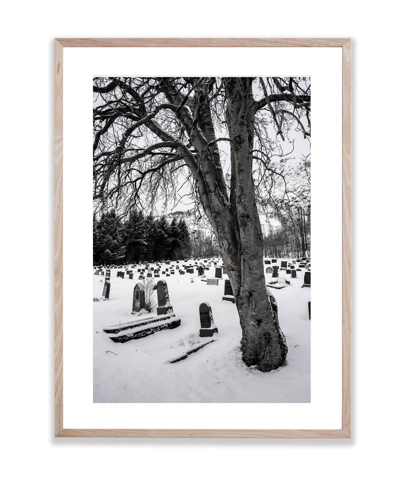 Cemetery, Lofoten, Norway