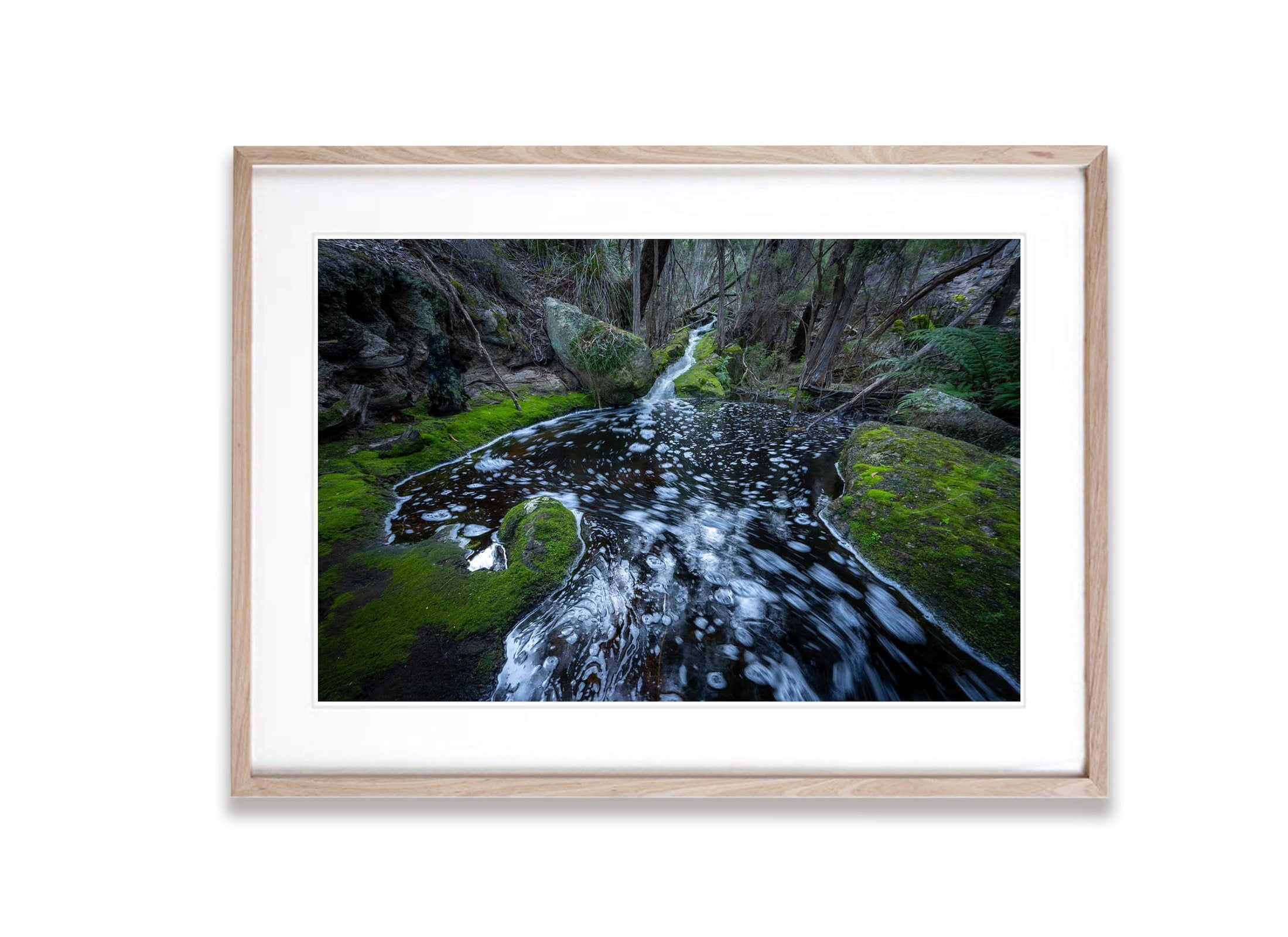 Rainforest Stream, Flinders Island, Tasmania