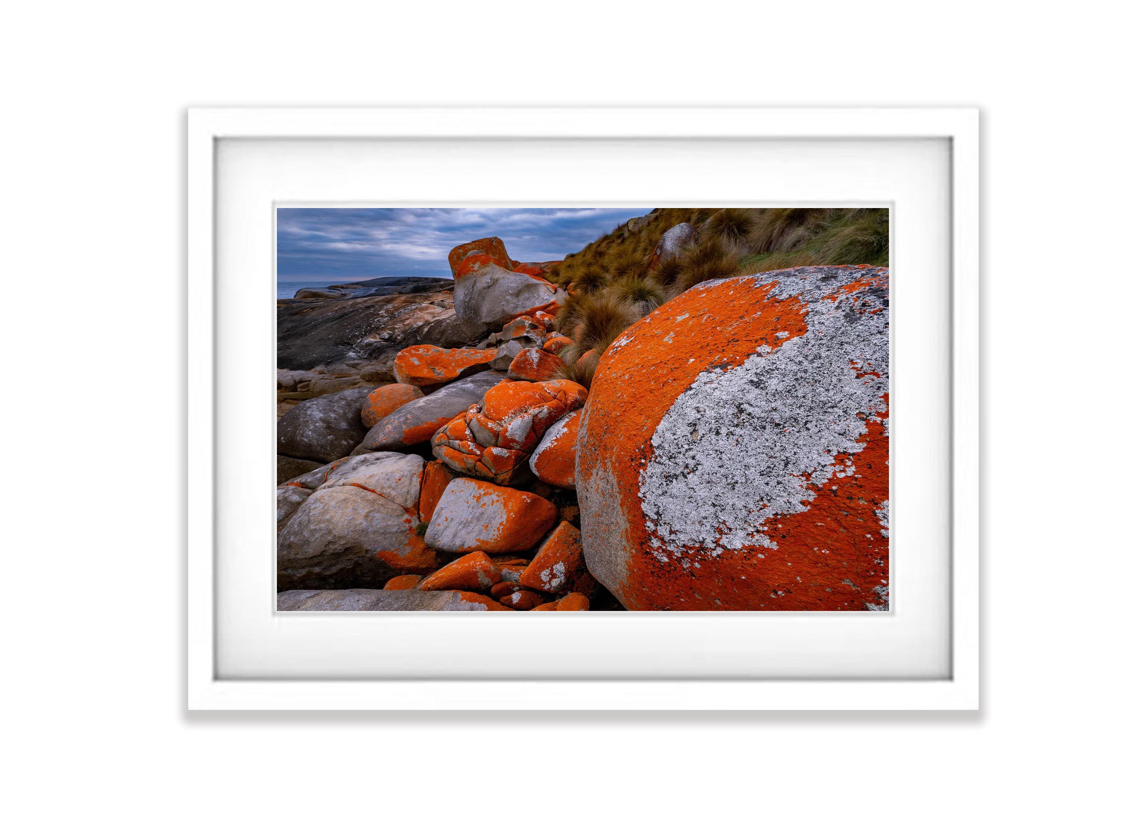 Red Lichen Rocks #2, Flinders Island, Tasmania