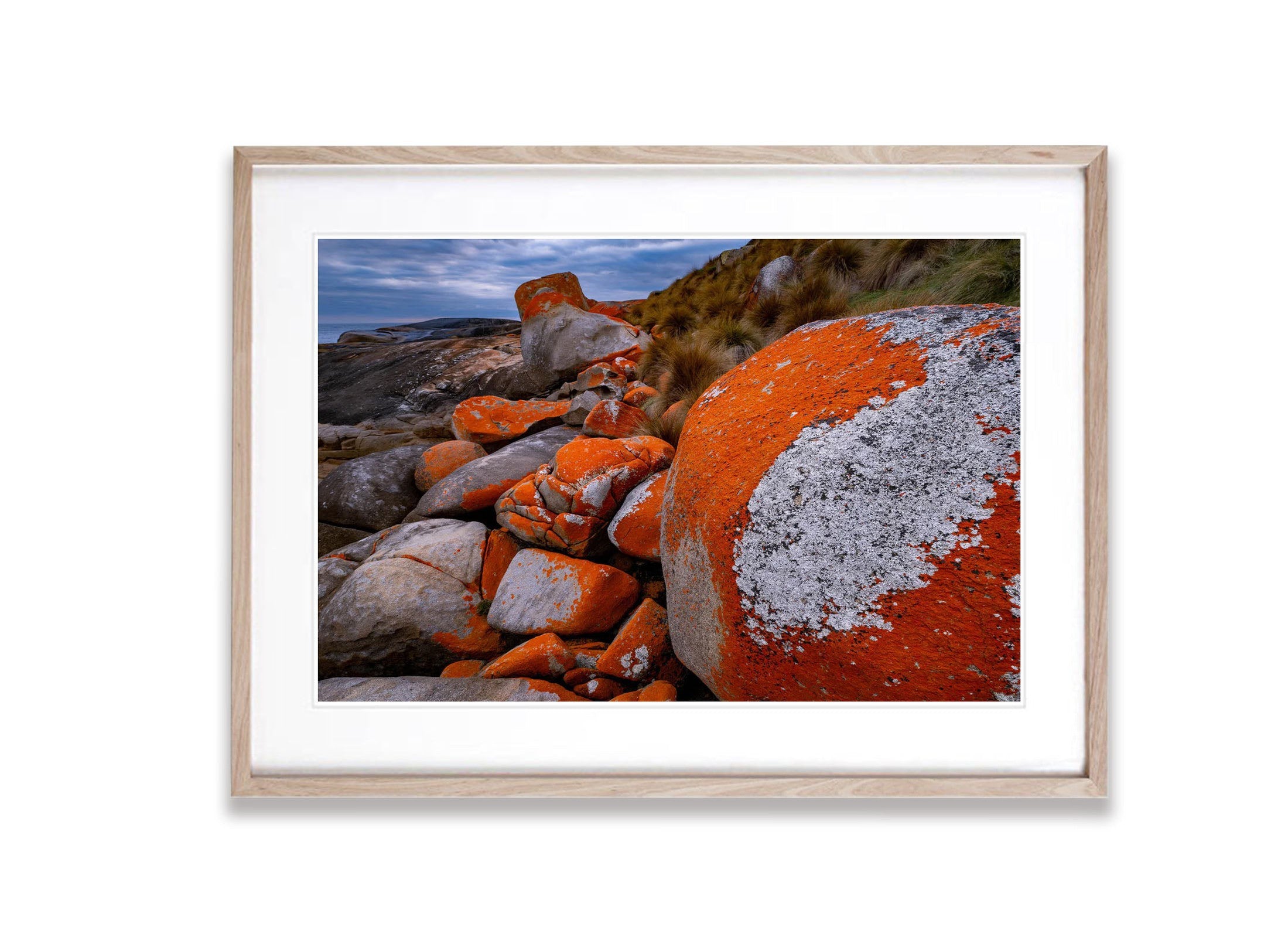 Red Lichen Rocks No.2, Flinders Island, Tasmania