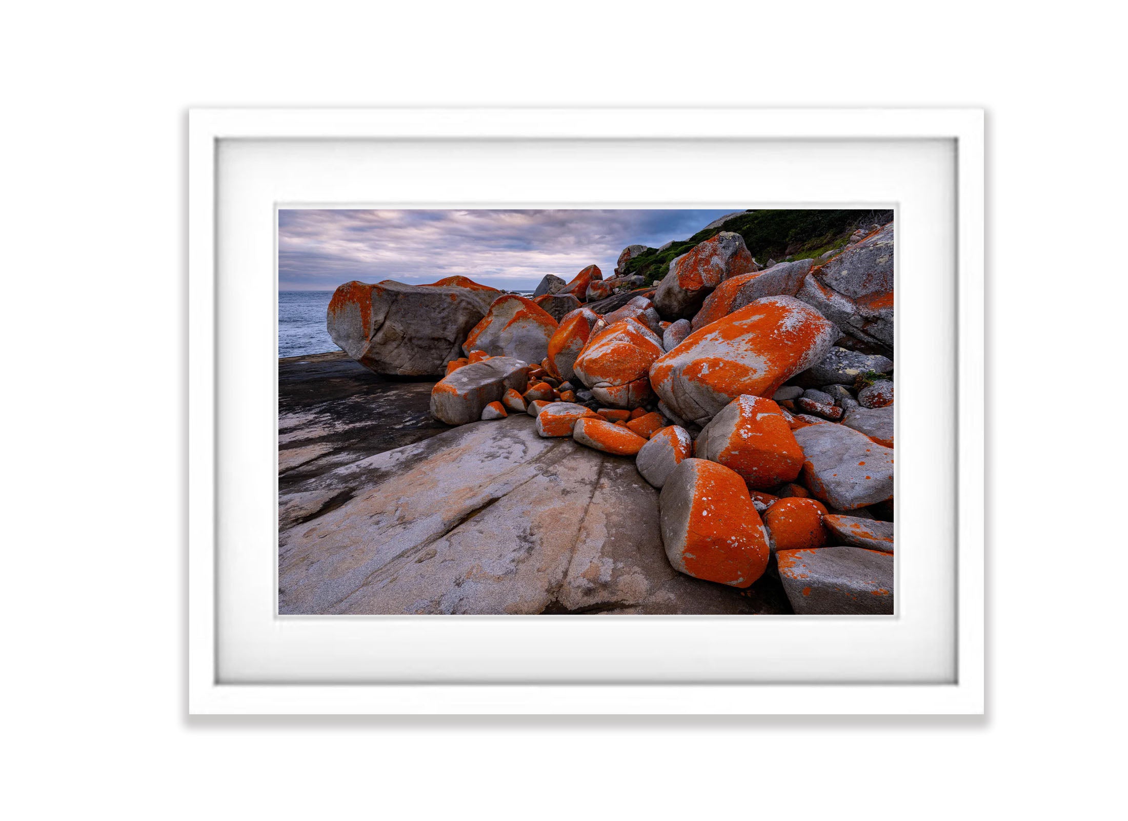 Red Lichen Rocks #3, Flinders Island, Tasmania