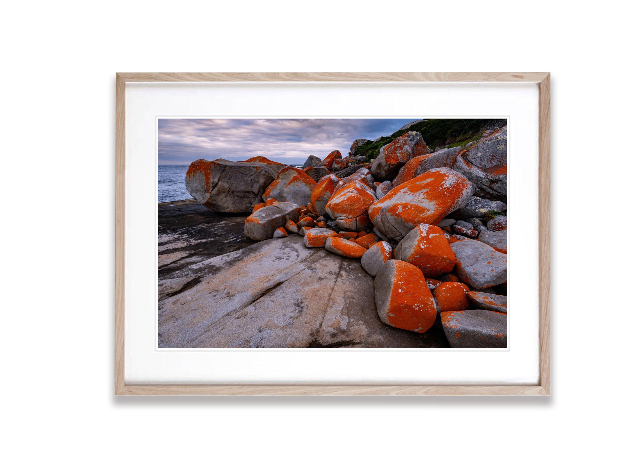 Red Lichen Rocks #3, Flinders Island, Tasmania