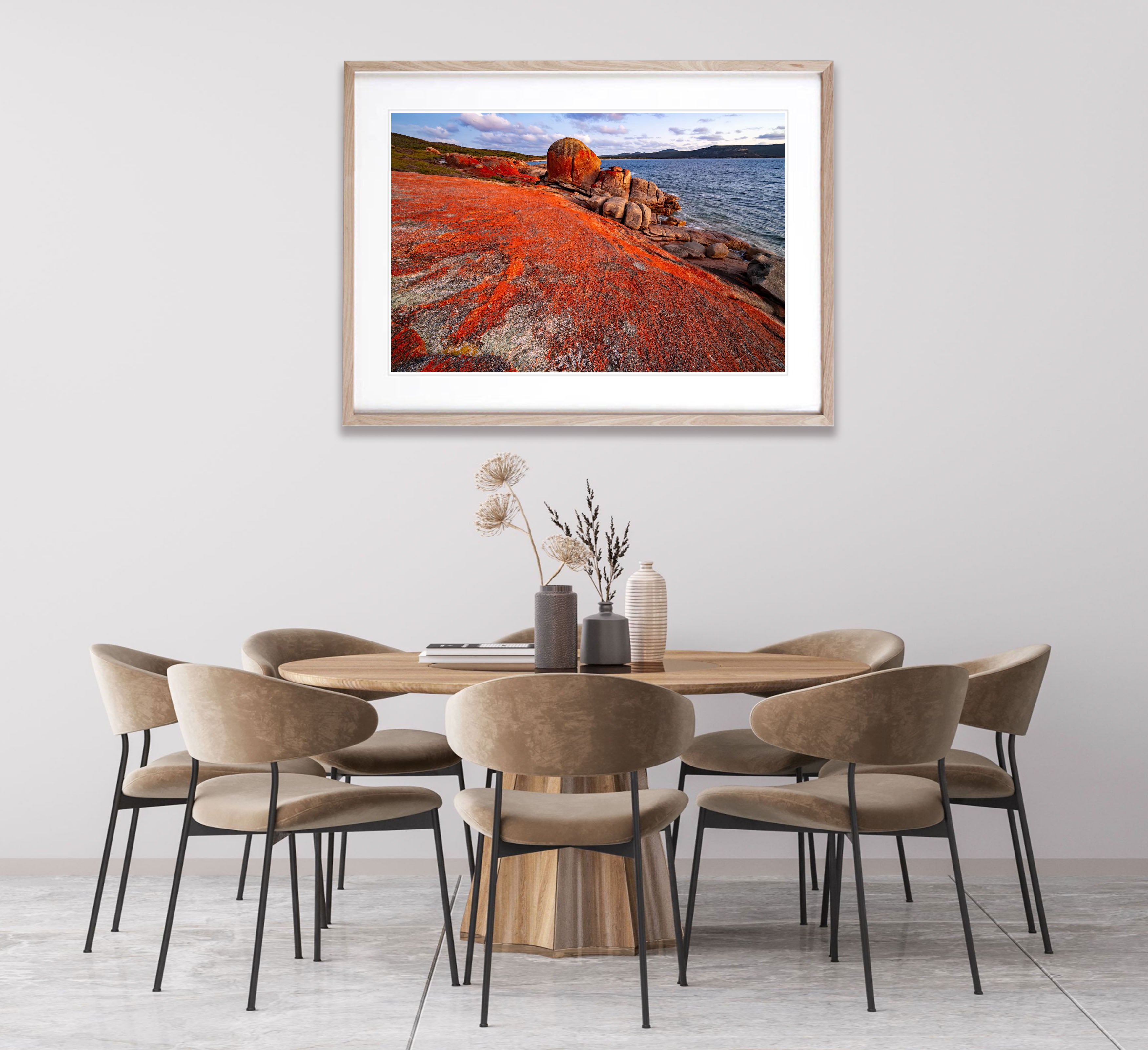 Red Lichen, Killicrankie, Flinders Island, Tasmania
