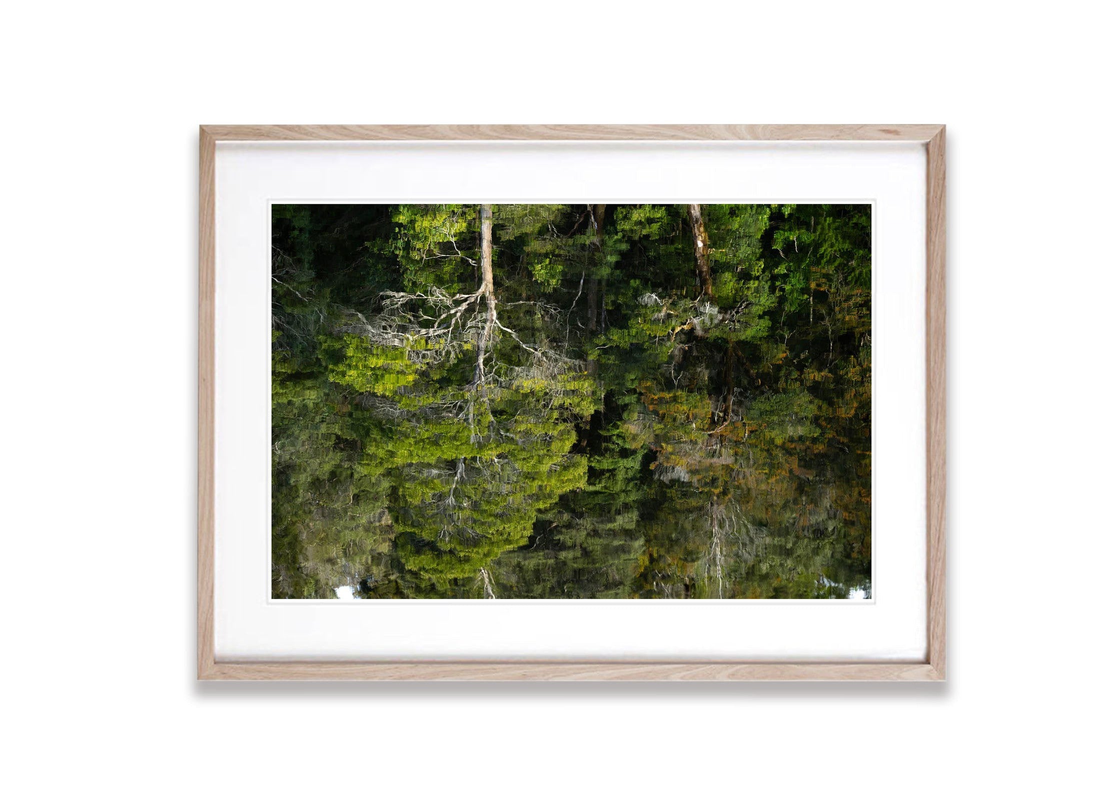 Reflections, Lower Franklin River, Tasmania