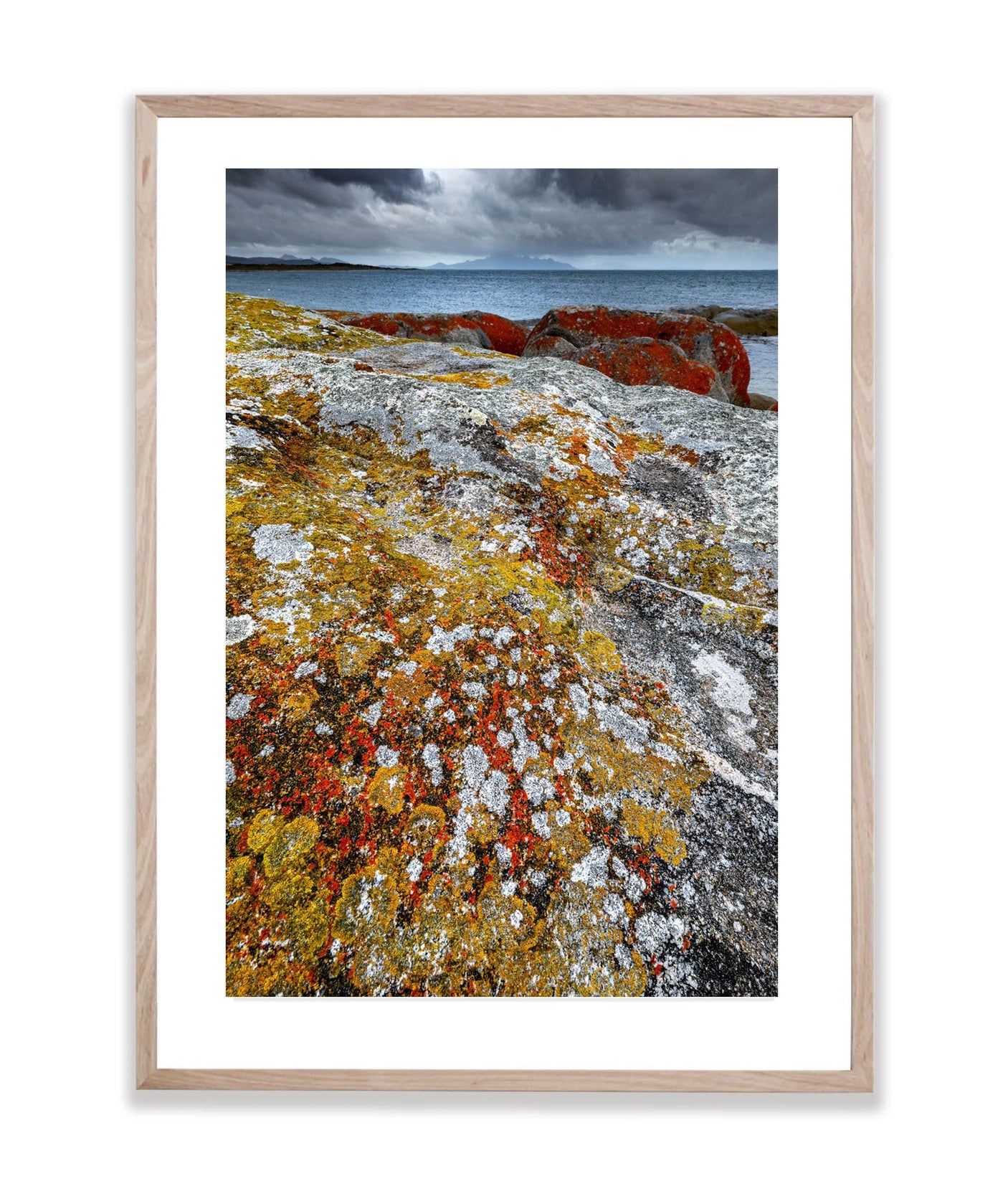 Spotted, Flinders Island, Tasmania