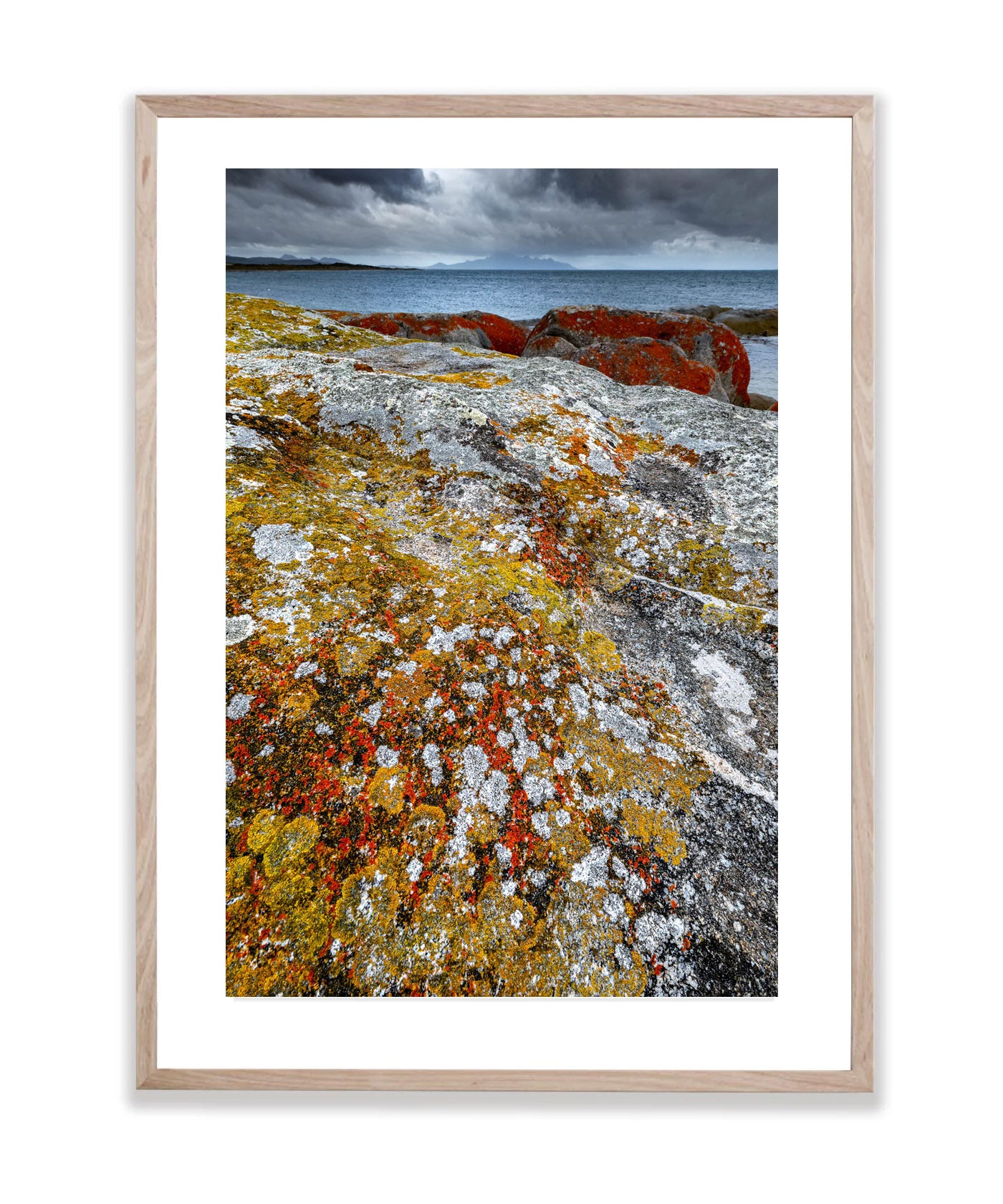 Spotted, Flinders Island, Tasmania