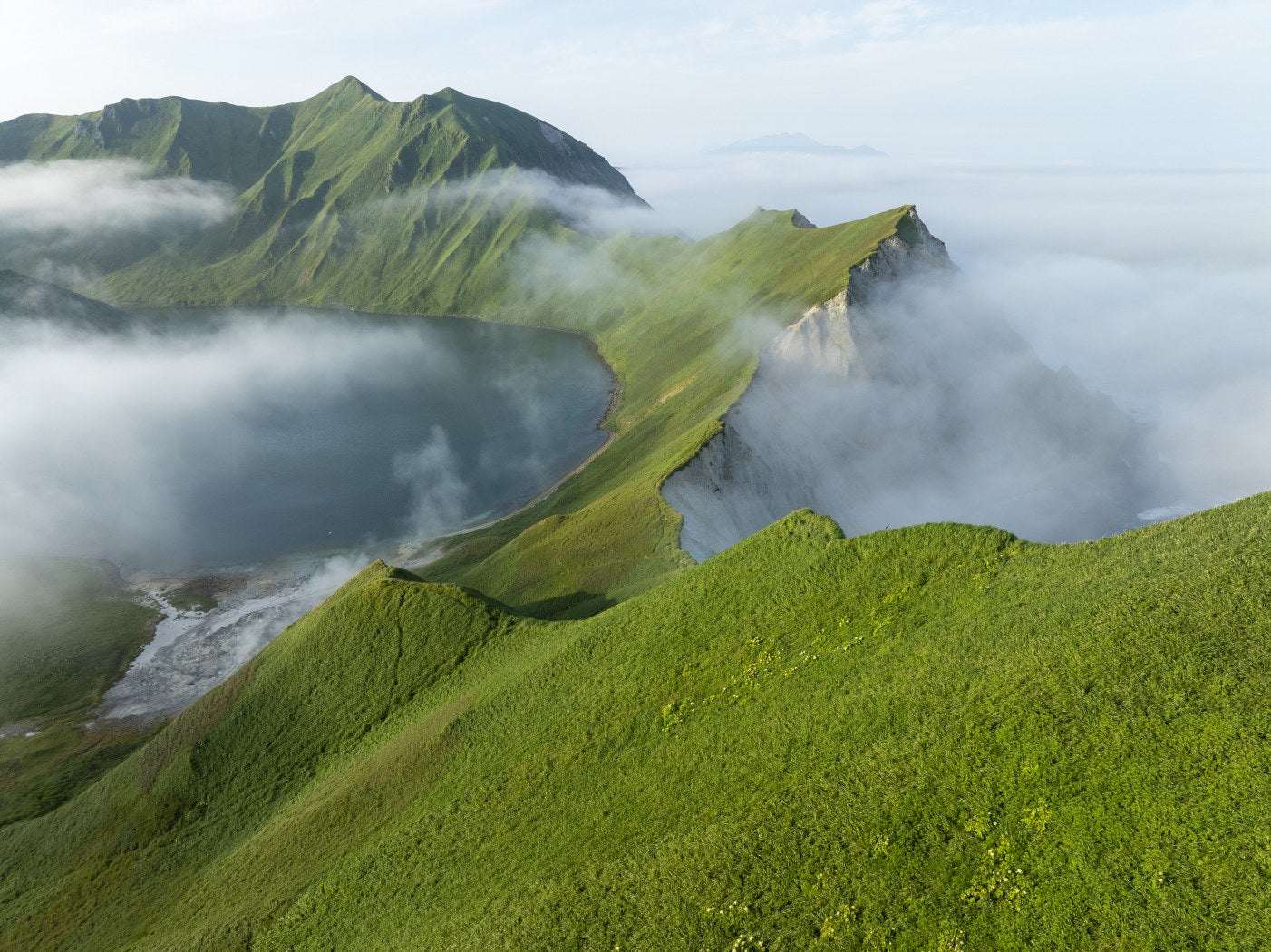 Misty Green Crest