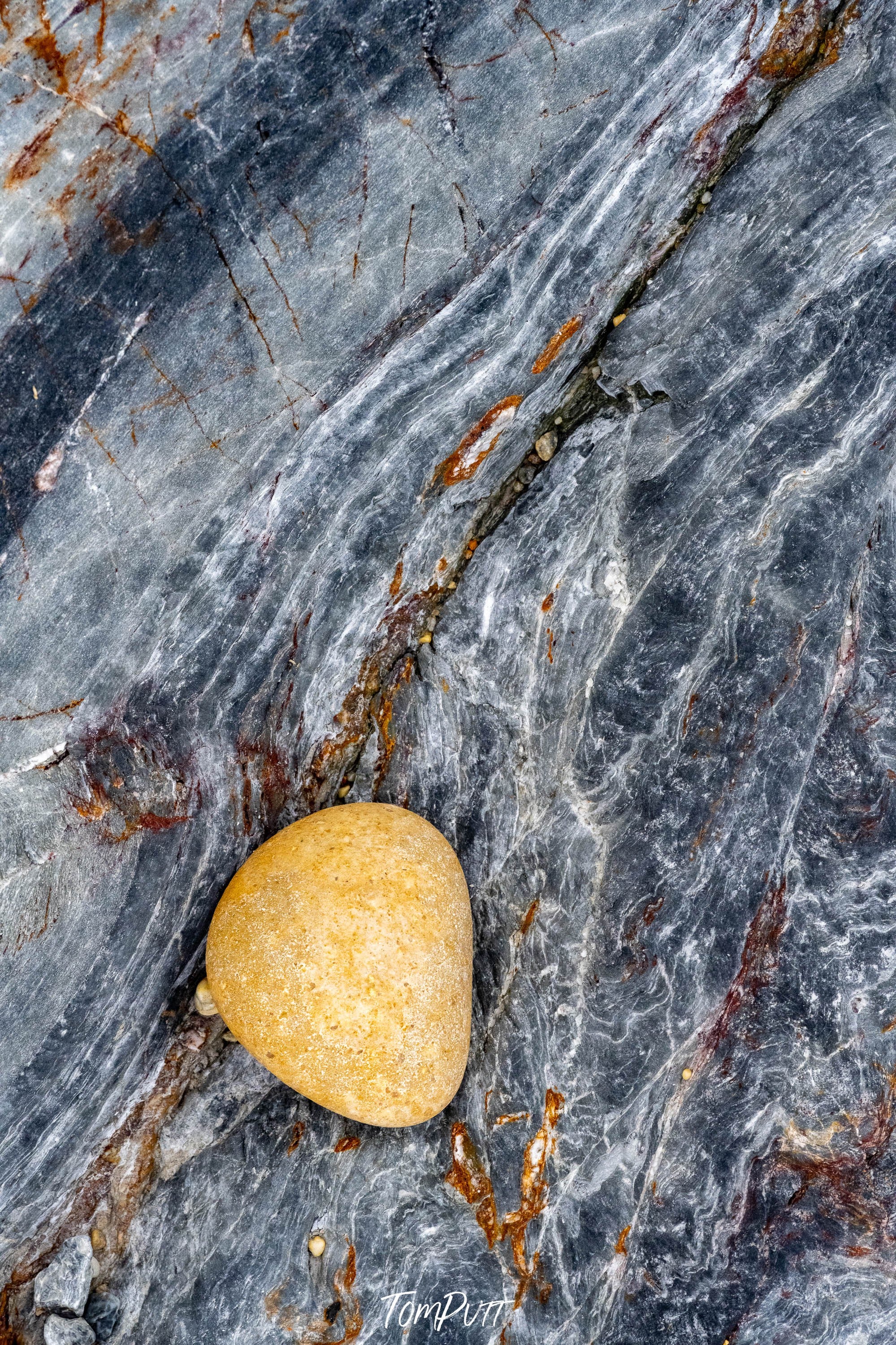 Rock Detail #6, Bermagui