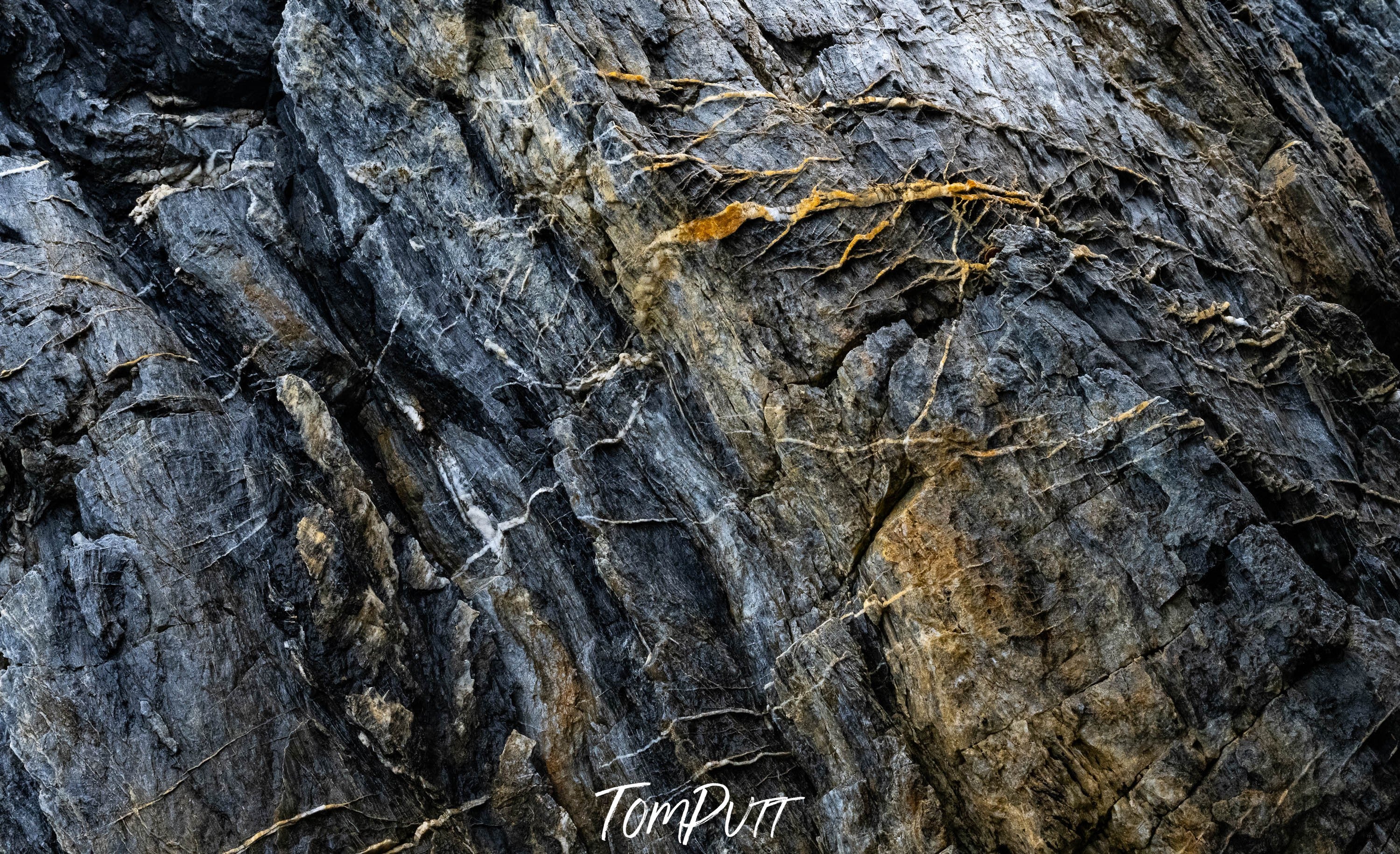 Rock Detail #4, Bermagui