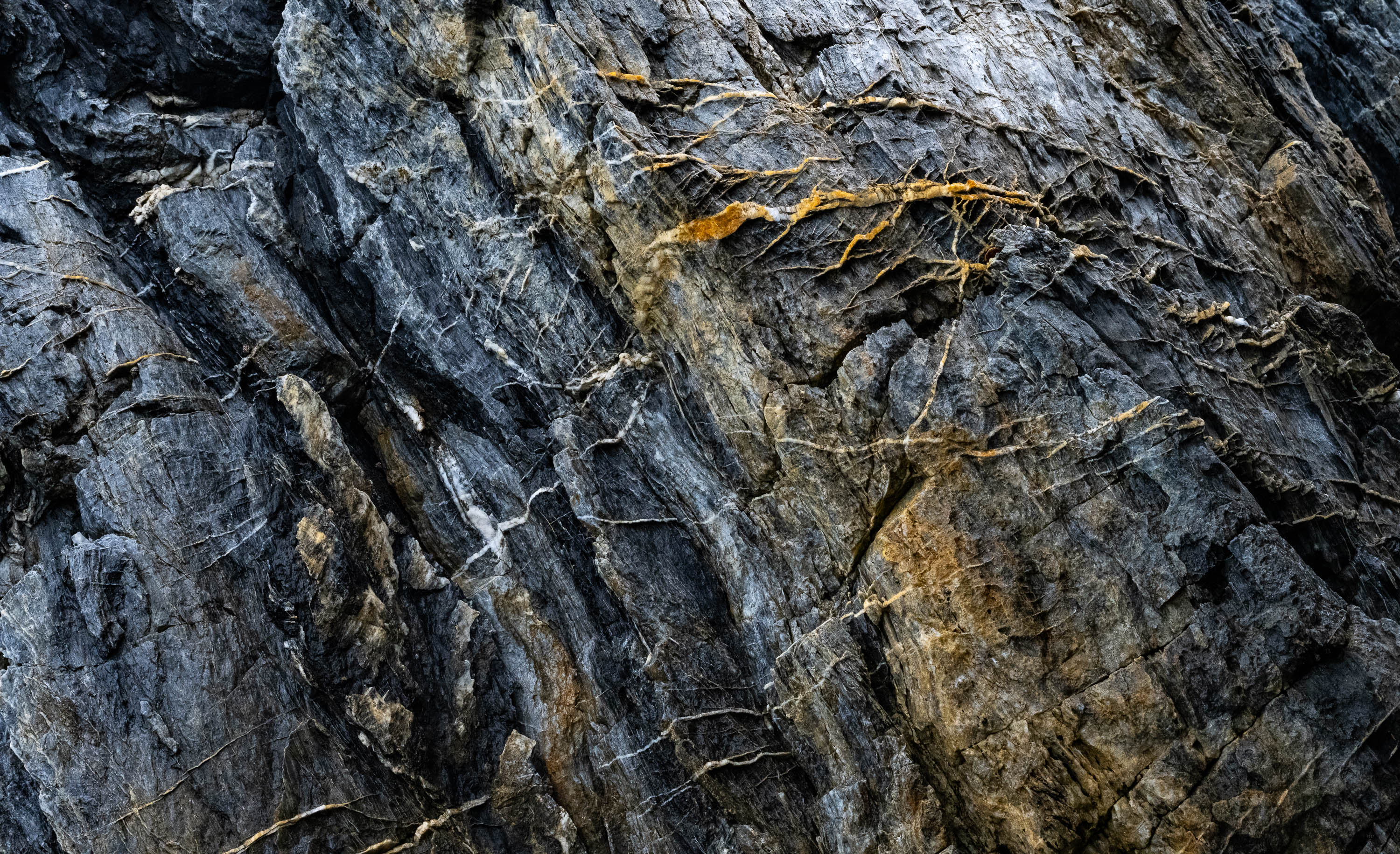 Rock Detail #4, Bermagui