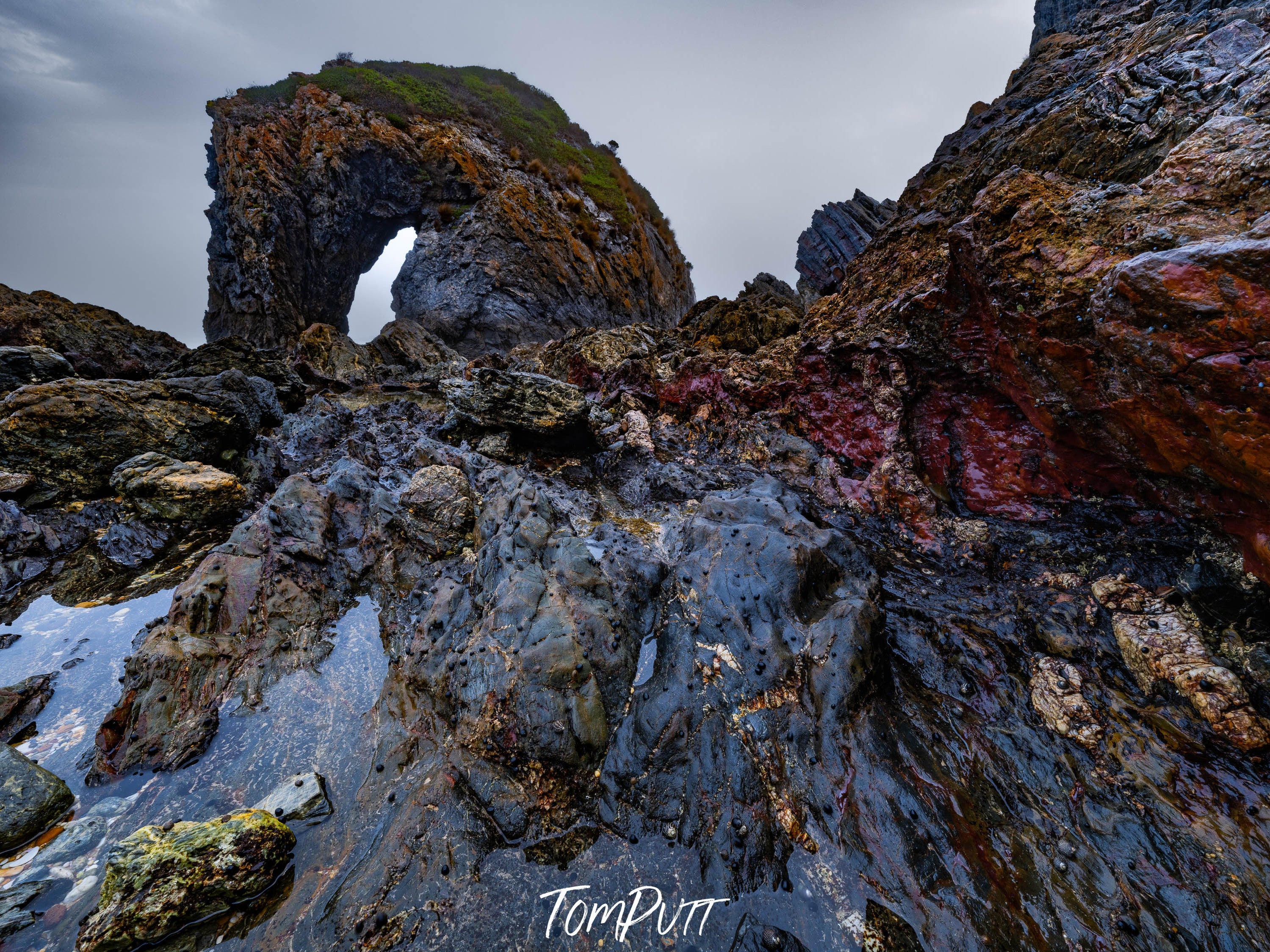 Horse Head Rock #2, Bermagui