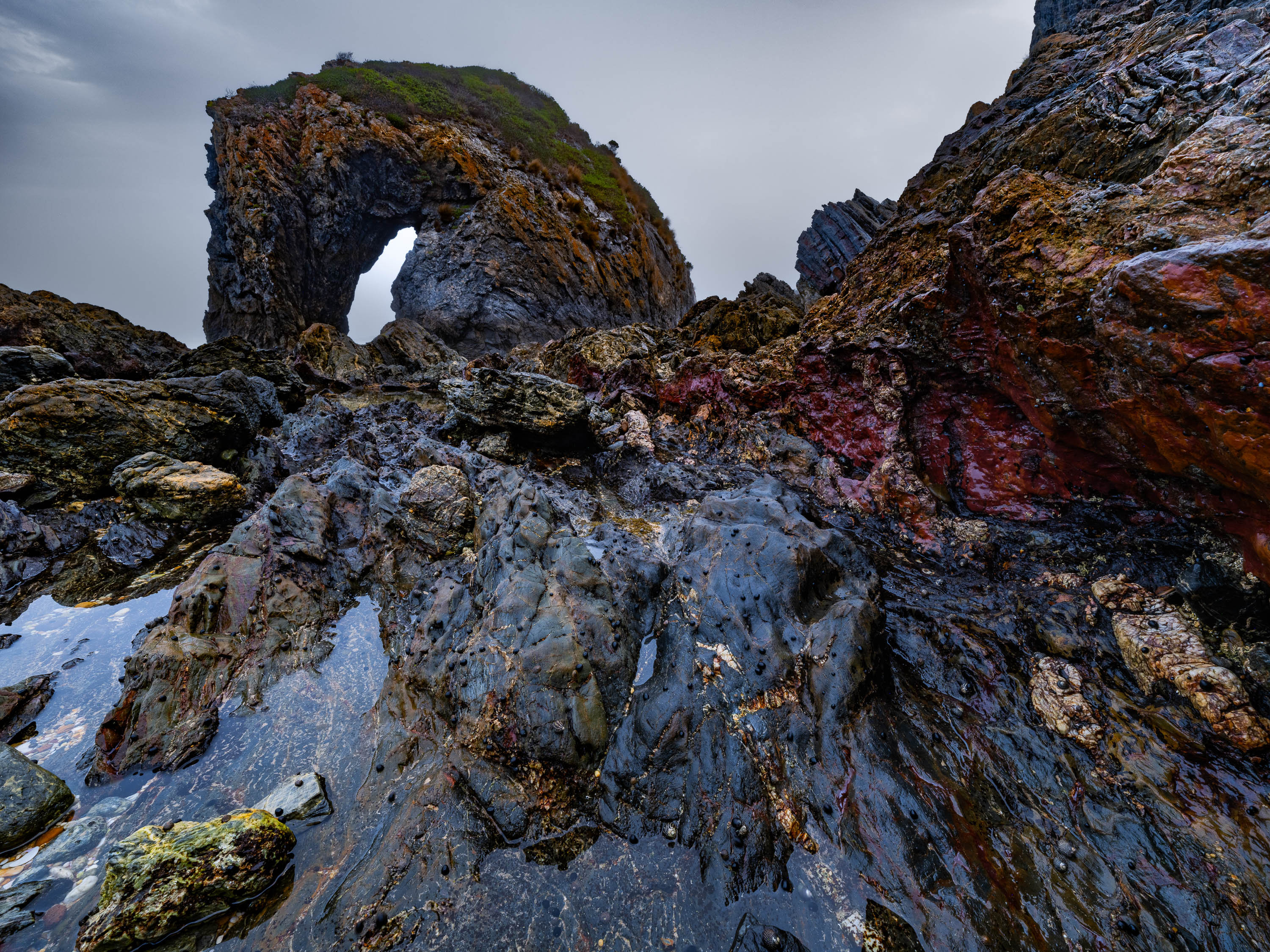 Horse Head Rock #2, Bermagui