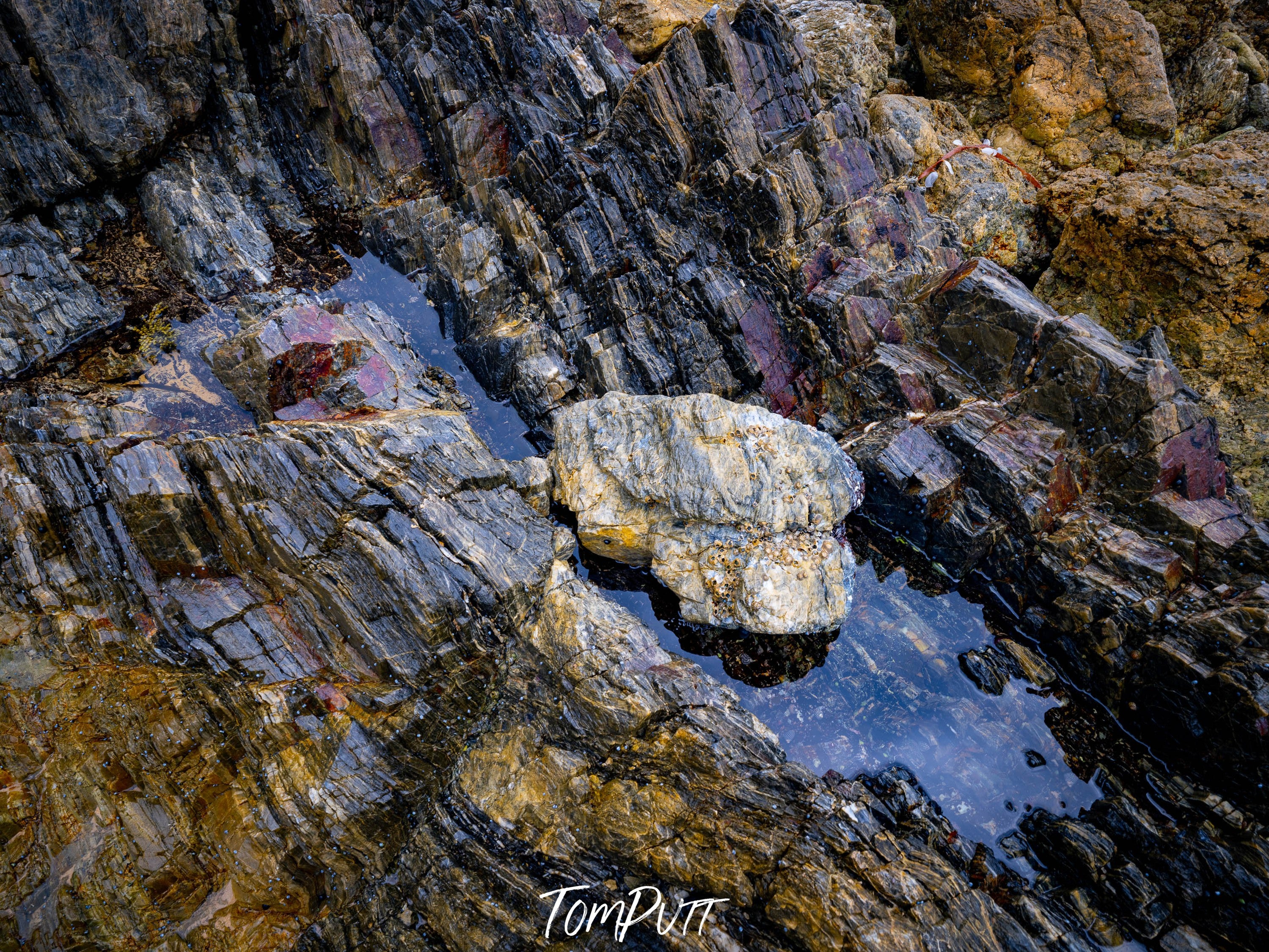 Rock Detail, Bermagui