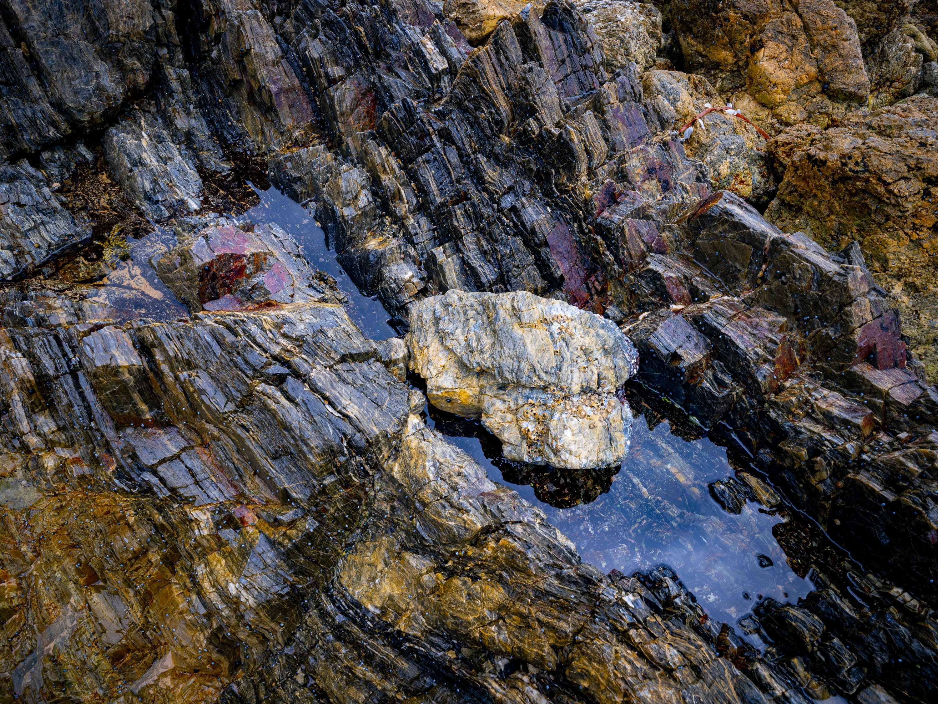 Rock Detail, Bermagui