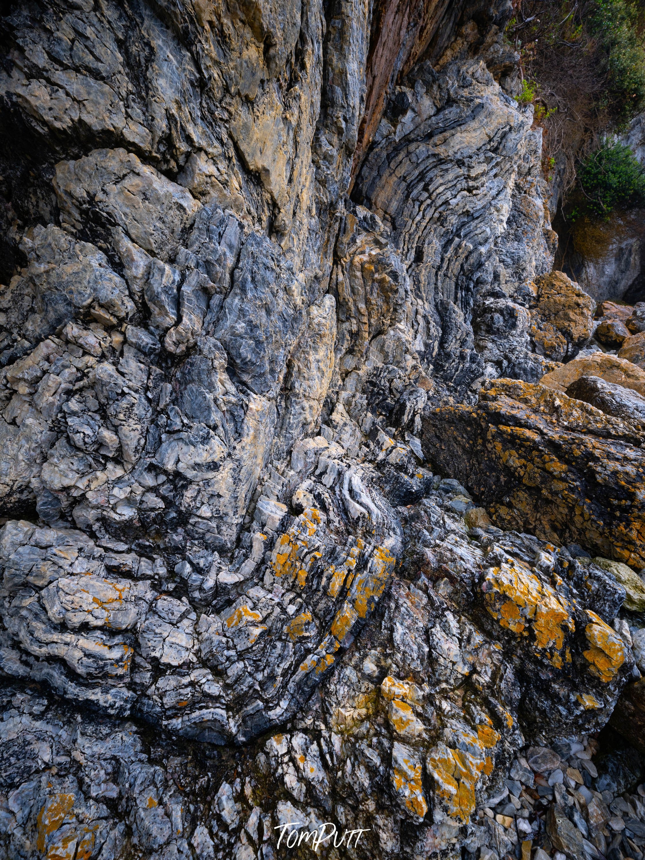 Rock Detail #2, Bermagui