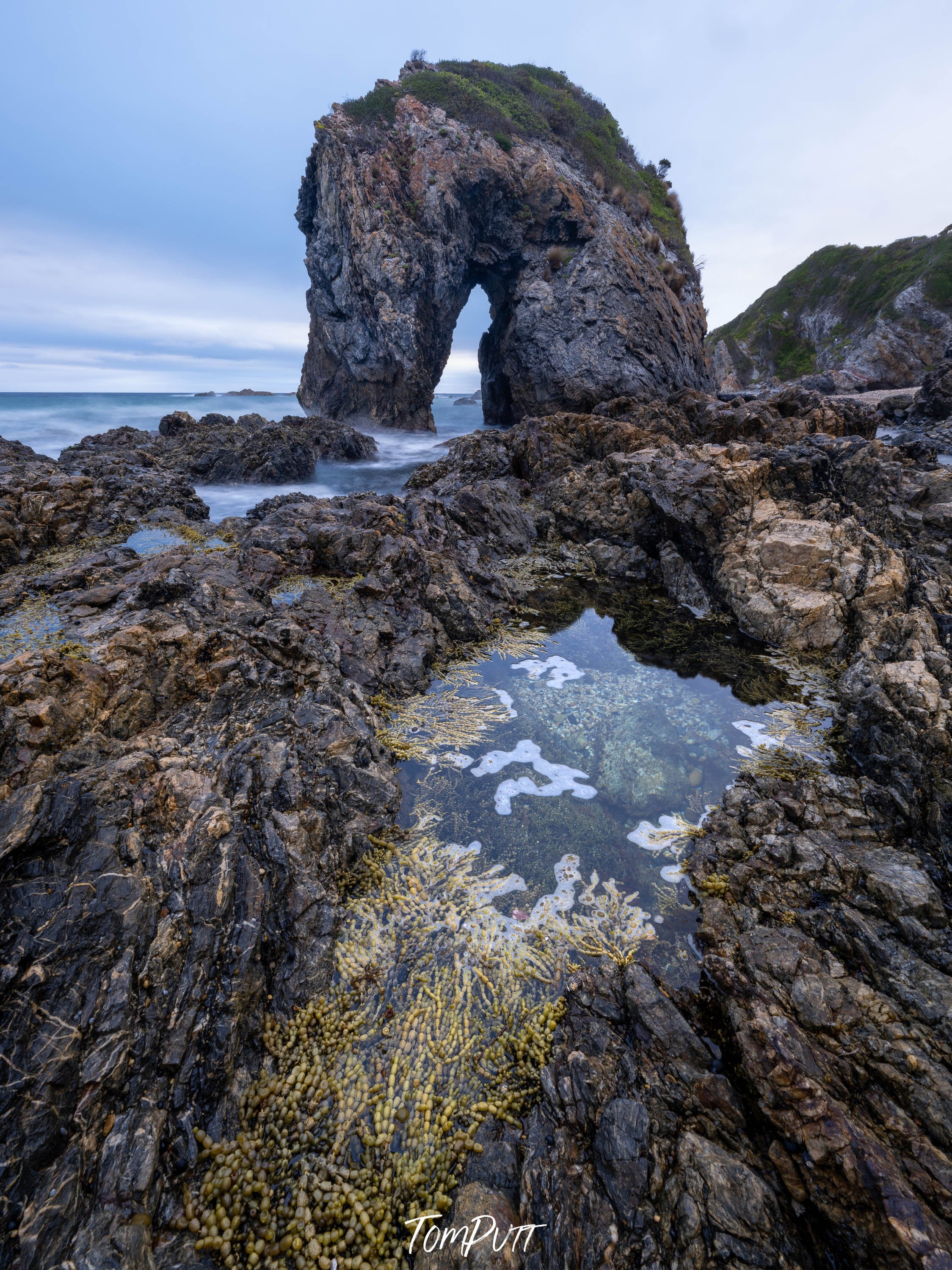 Horse Head Rock, Bermagui