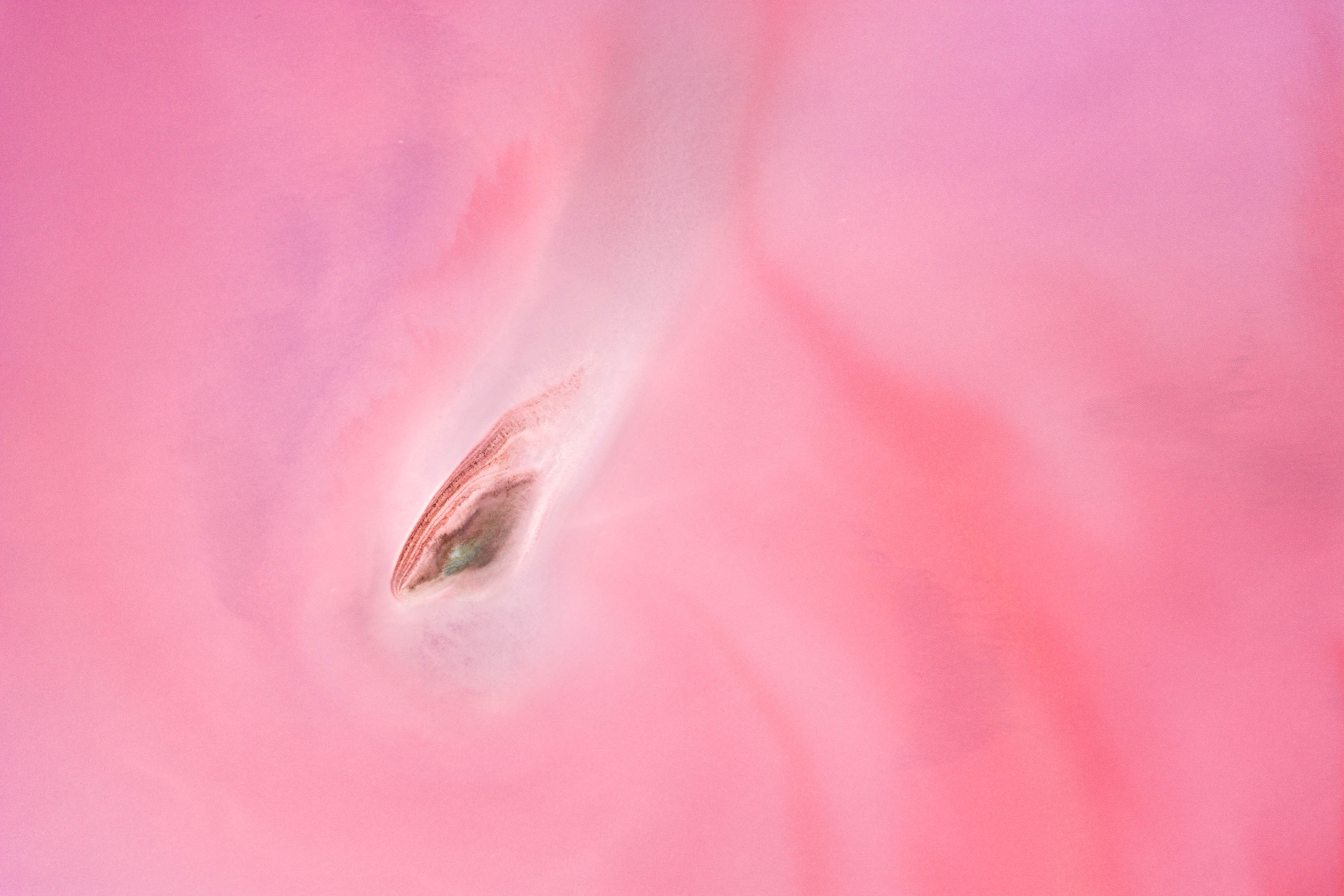 A Study in Pink