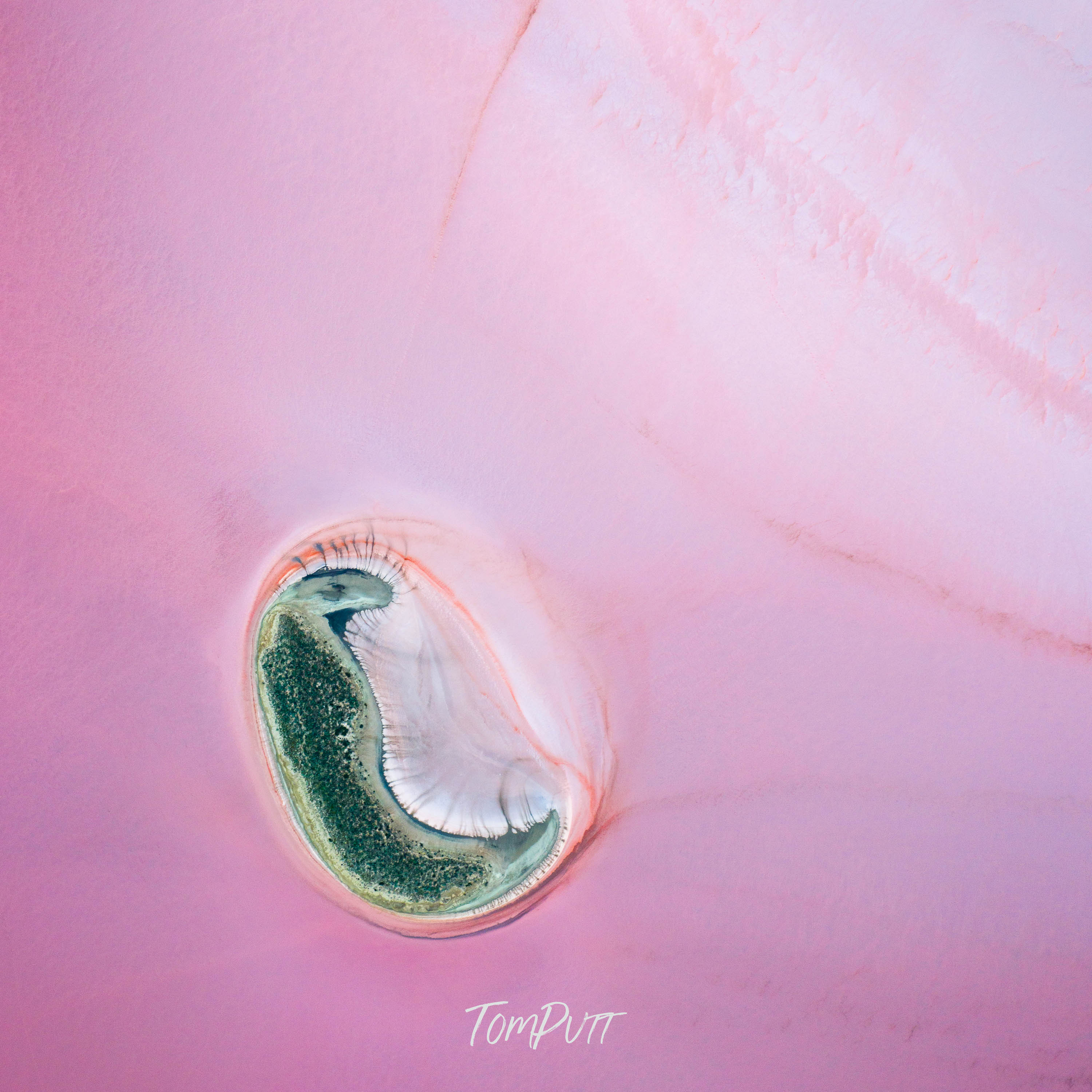 Lost in the Pink