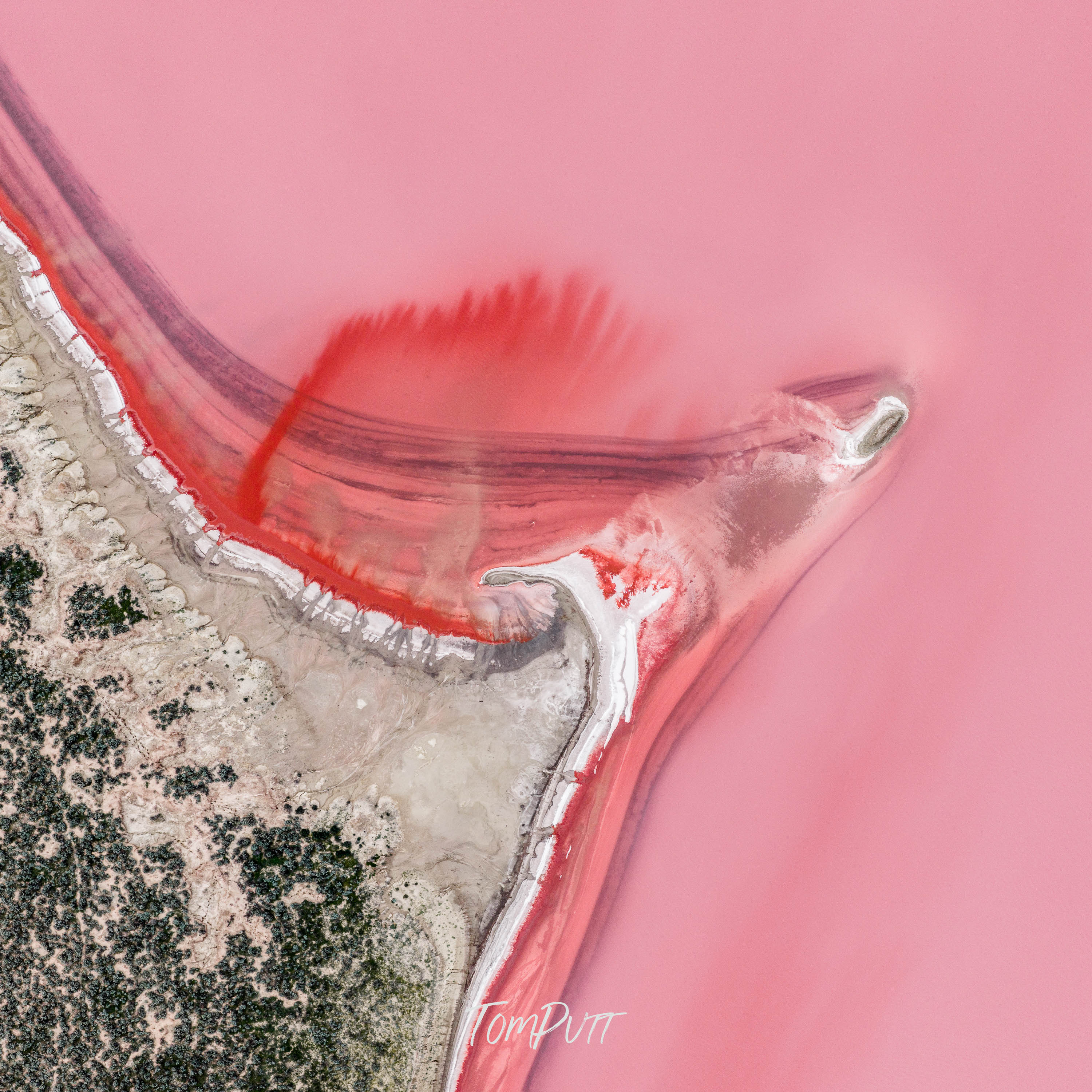 Rosé Coastline
