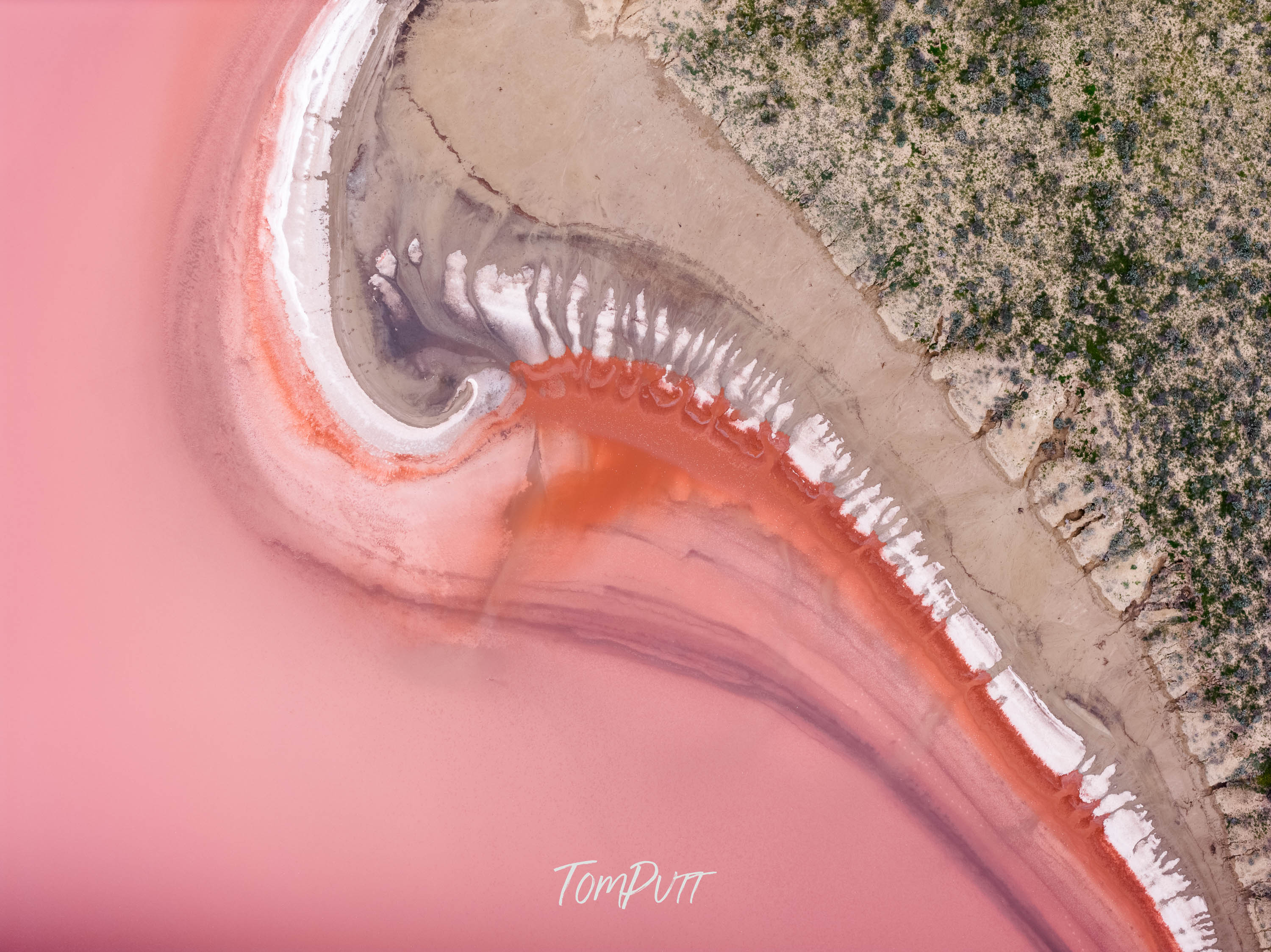 Gentle Curve in Pink