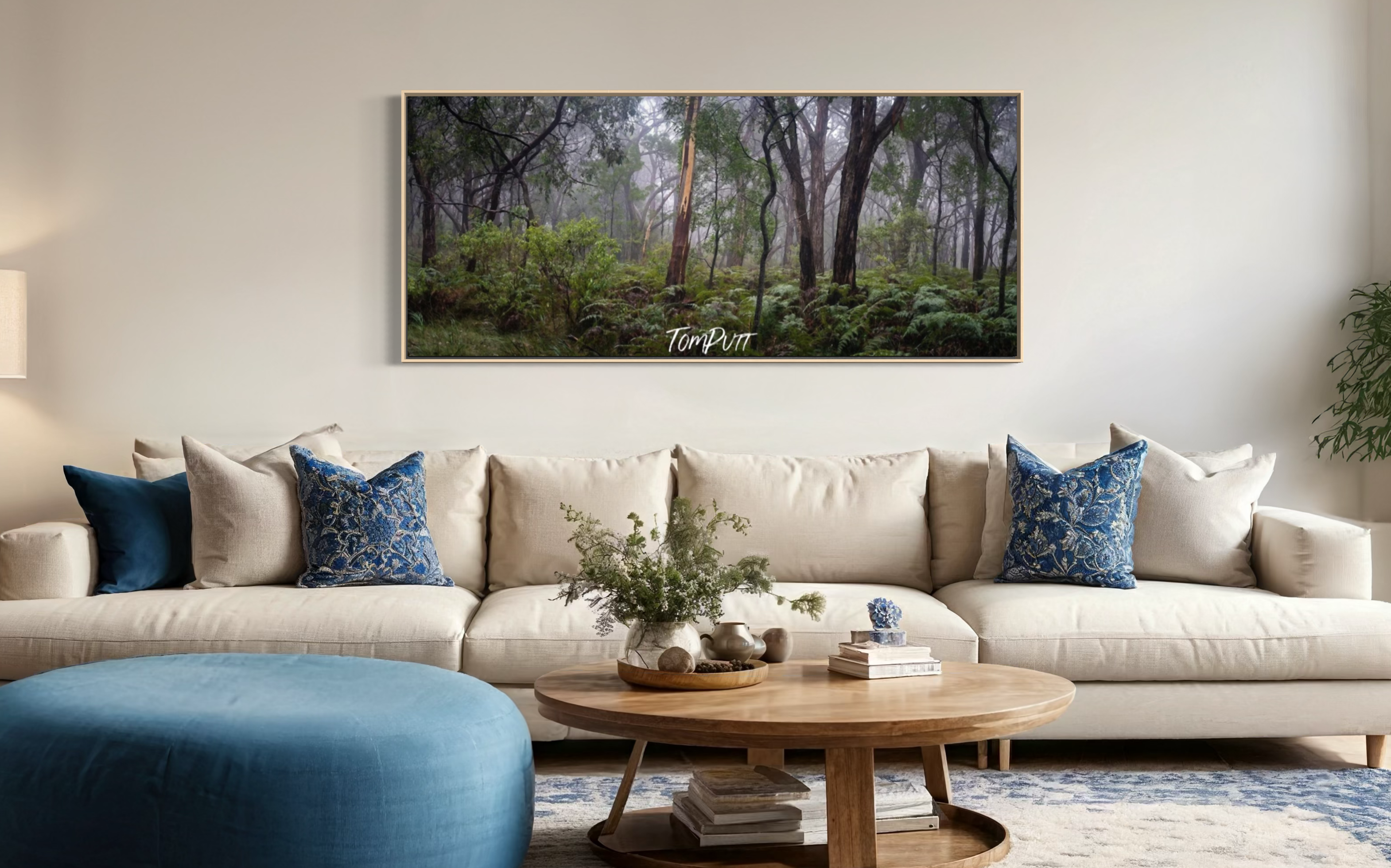 Arthurs Seat Forest - Mornington Peninsula, VIC