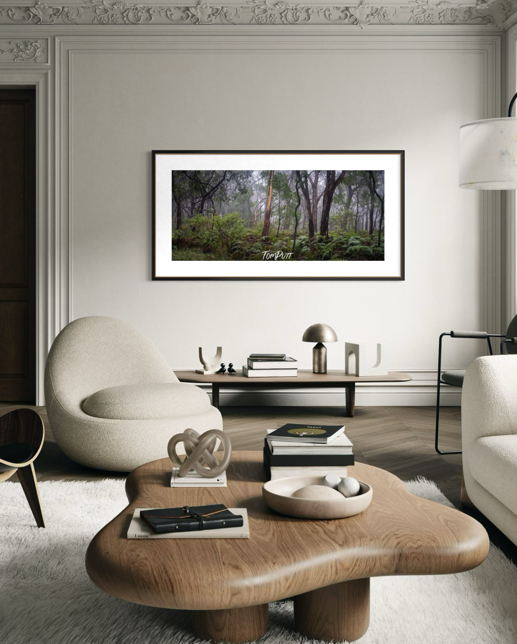 Arthurs Seat Forest - Mornington Peninsula, VIC