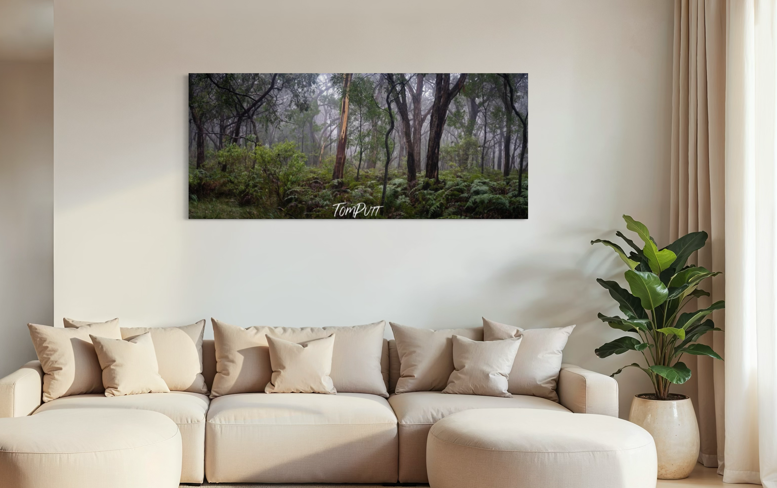 Arthurs Seat Forest - Mornington Peninsula, VIC