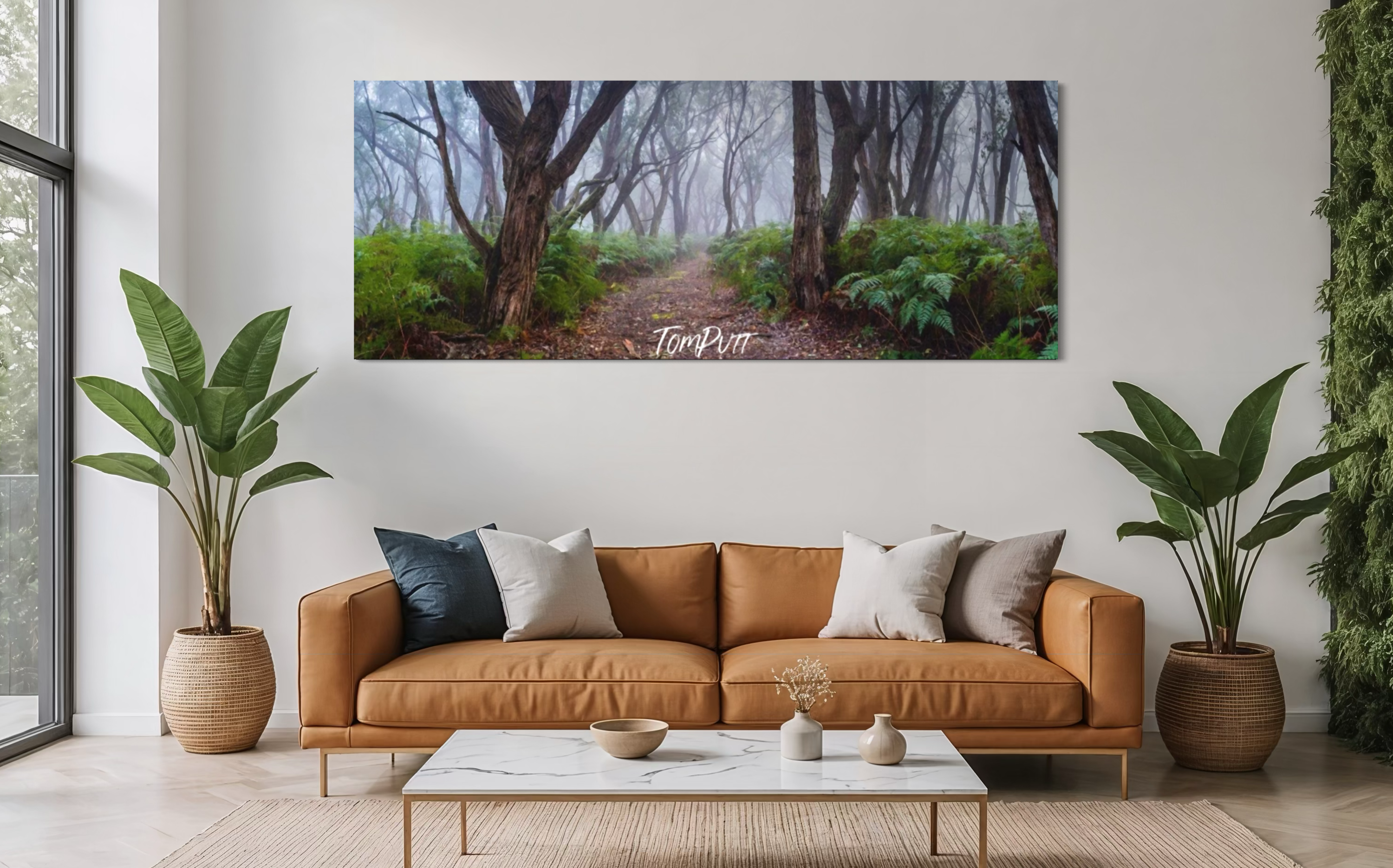 Into the Forest, Mornington Peninsula, VIC