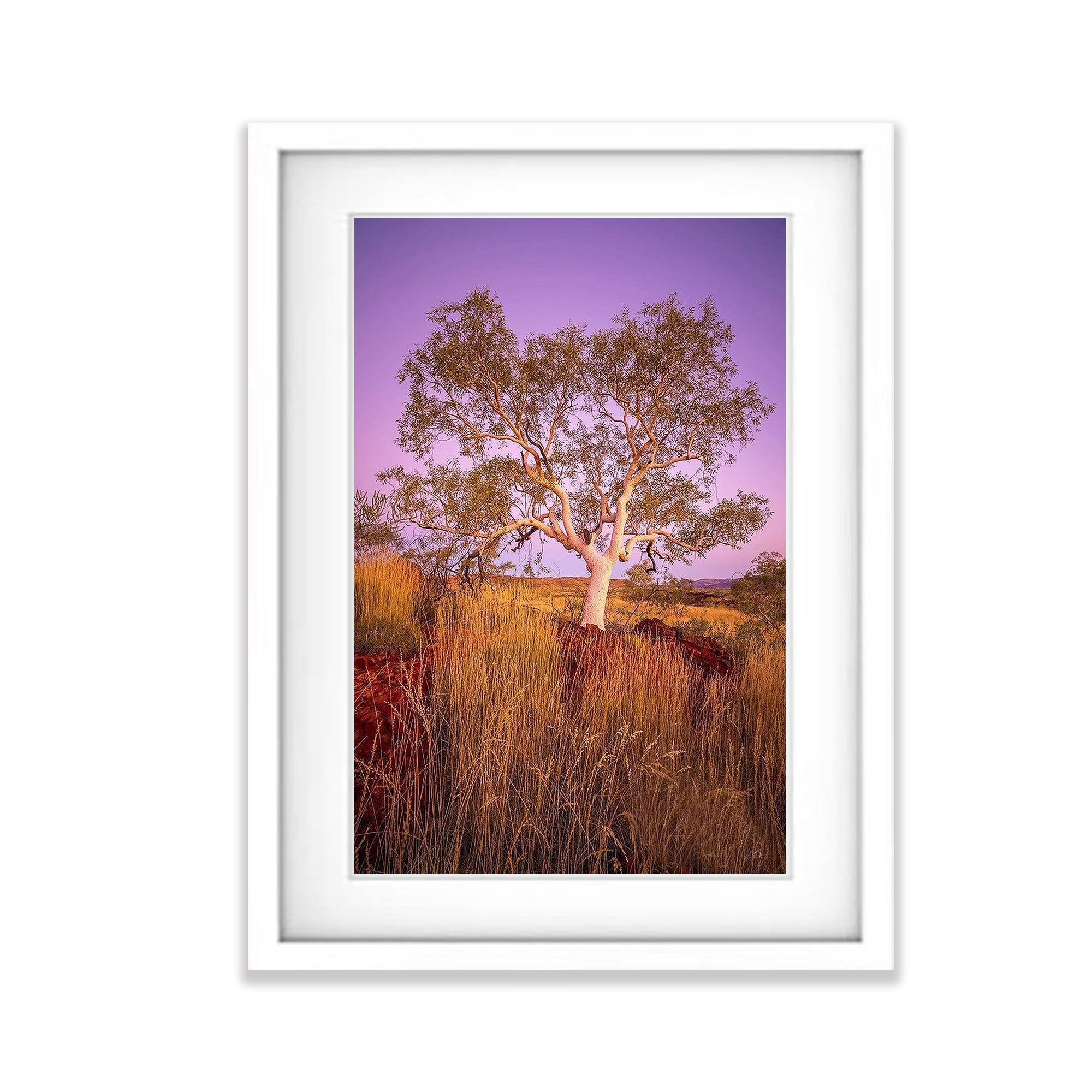 Snappy Dawn - Karijini, The Pilbara