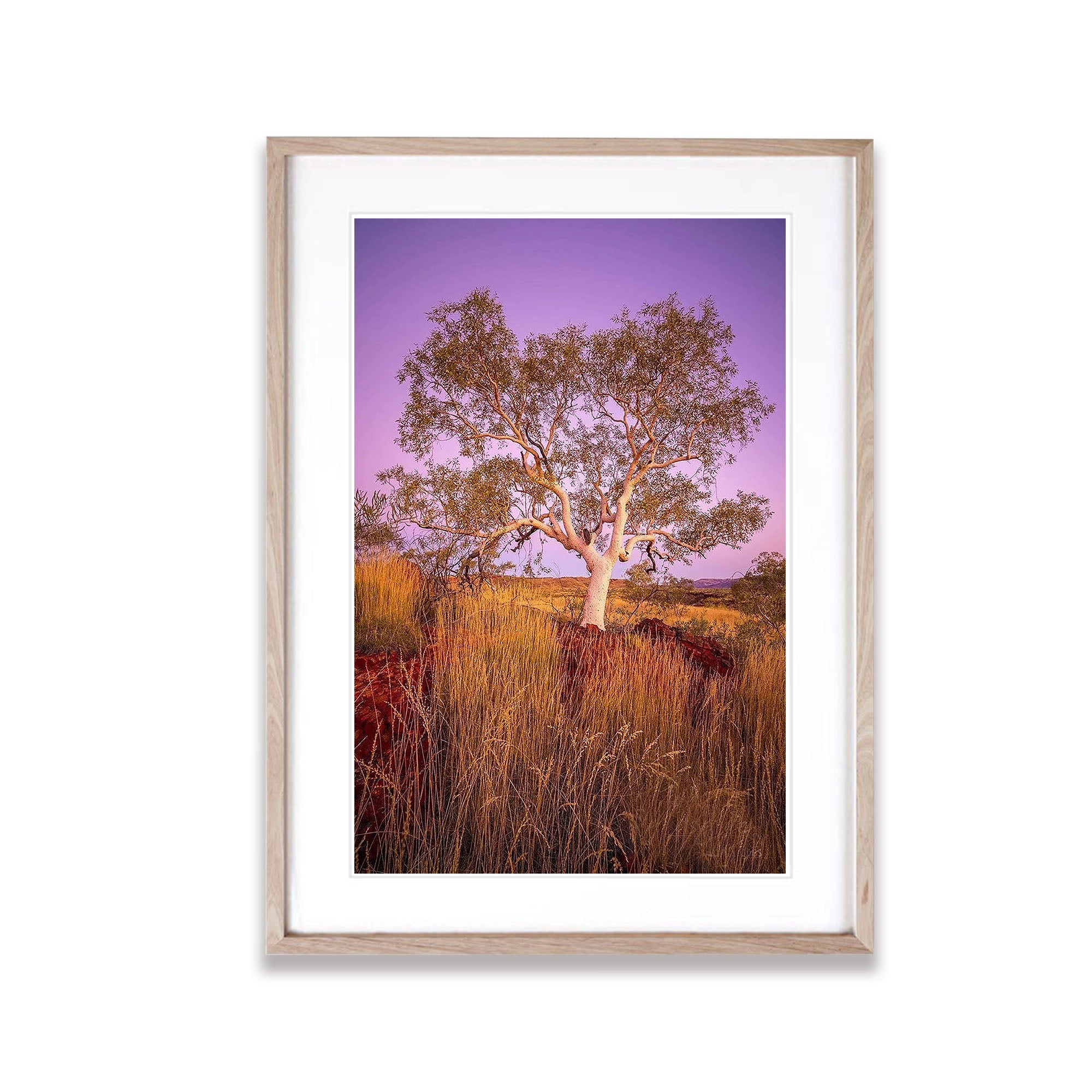 Snappy Dawn - Karijini, The Pilbara