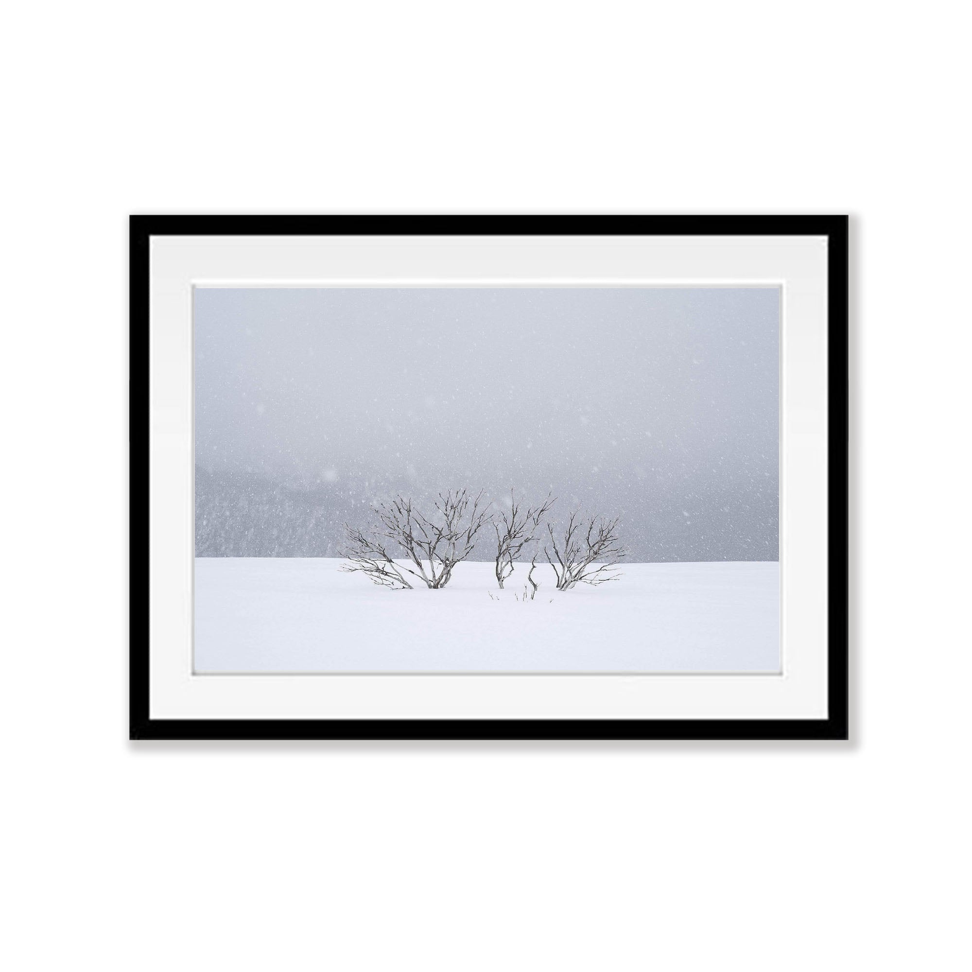 ARTWORK INSTOCK - Snowflakes, Mount Hotham, Victoria - 150 x 100cms Canvas Raw Oak Print